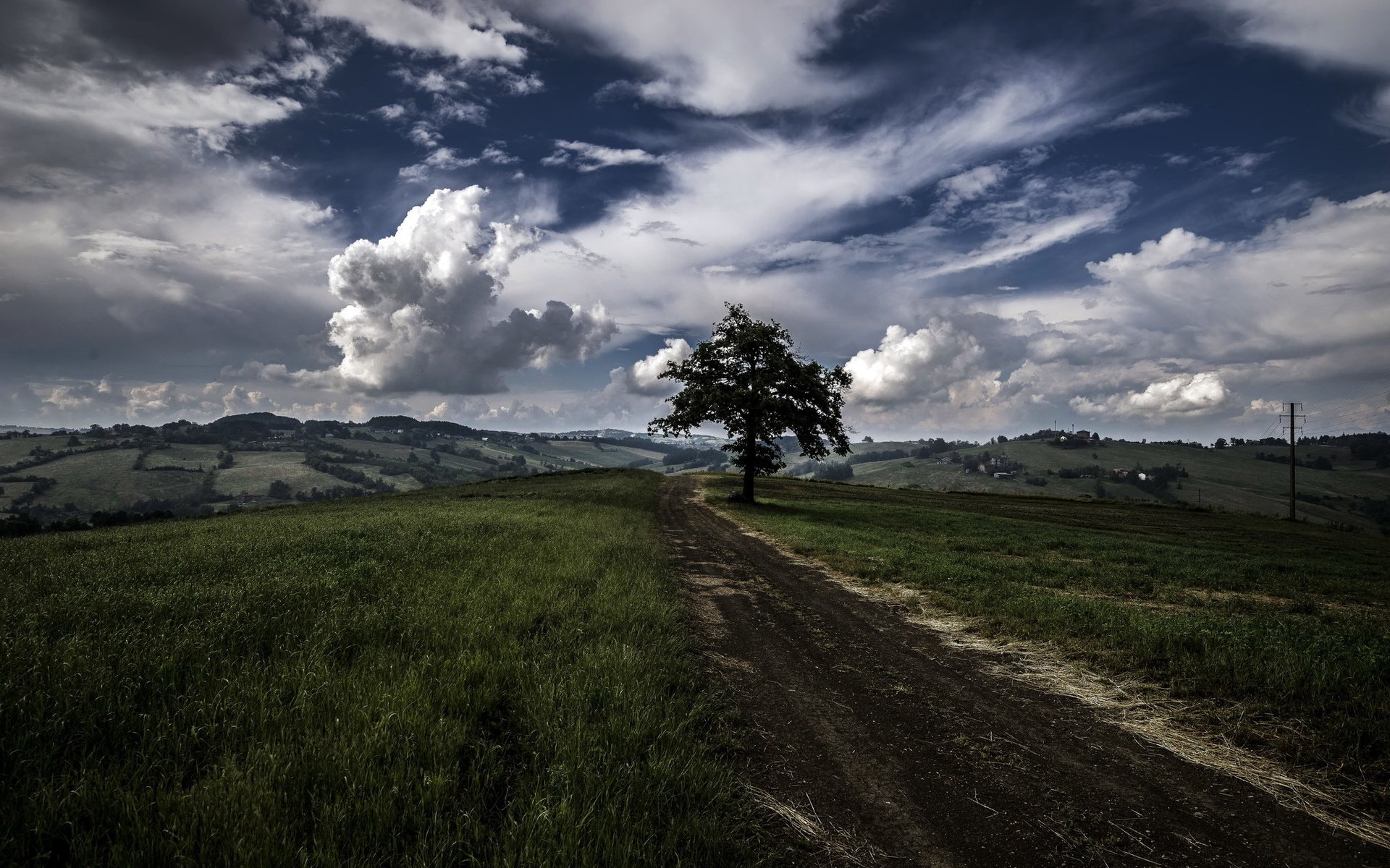 Обои дорога, дерево, поле, road, tree, field разрешение 2048x1367 Загрузить