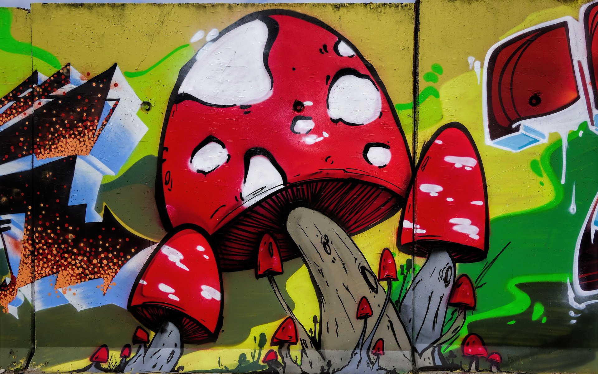 Обои арт, город, стена, грибы, графити, art, the city, wall, mushrooms, grafiti разрешение 2048x1365 Загрузить