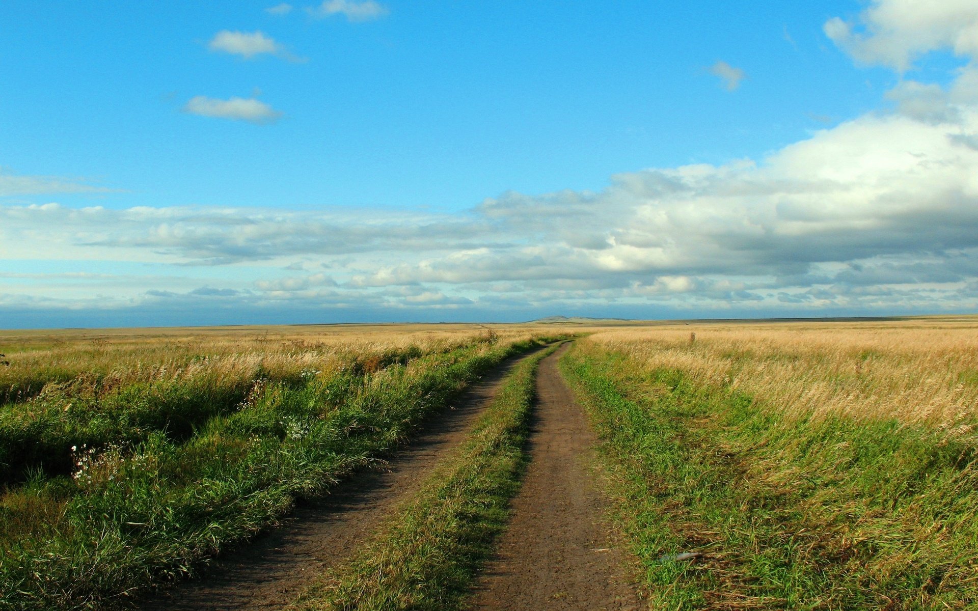 Дорога в степи Казахстана