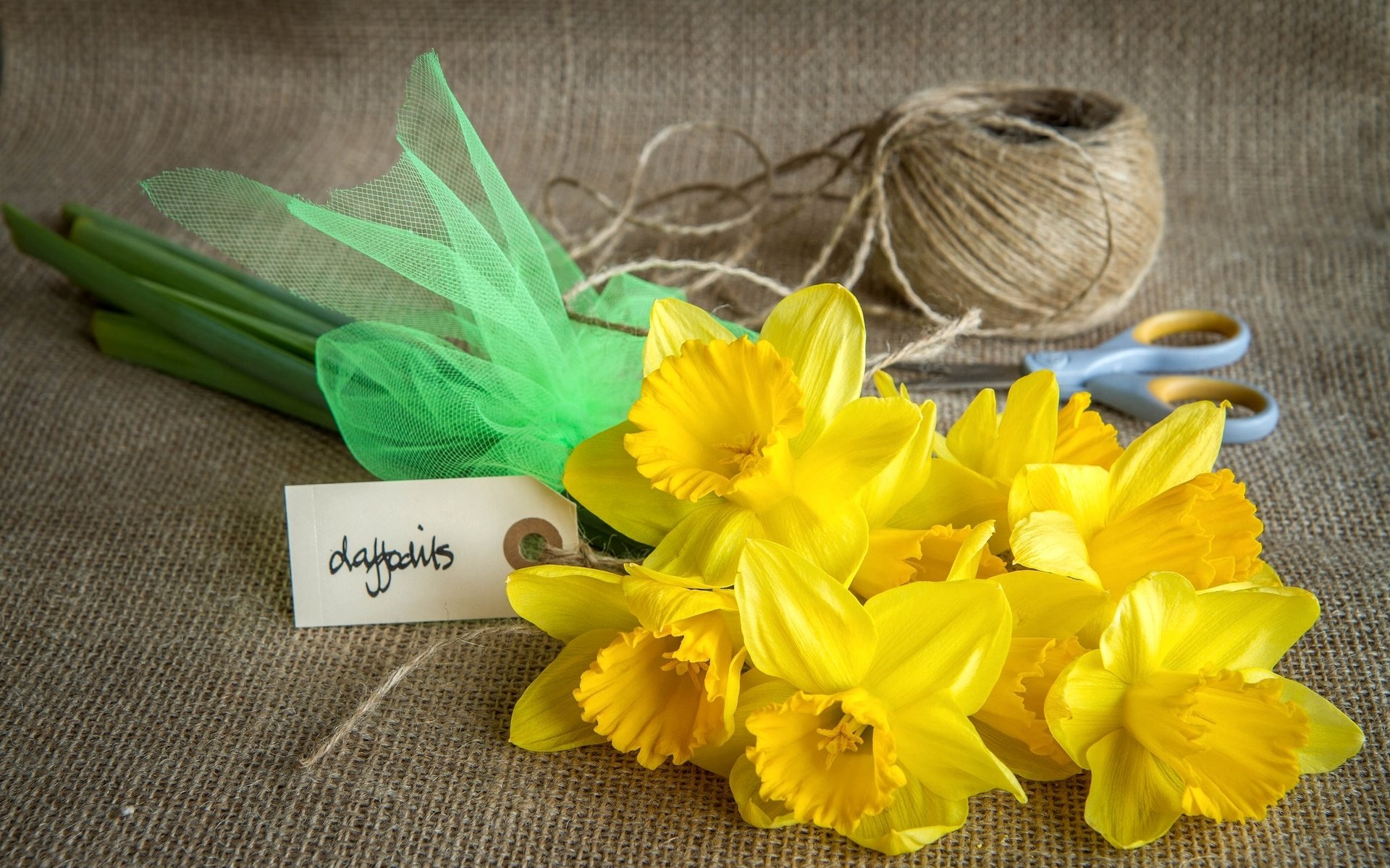 Обои цветы, желтые, нарцисс, ножницы, нитки, мешковина, flowers, yellow, narcissus, scissors, thread, burlap разрешение 2048x1365 Загрузить