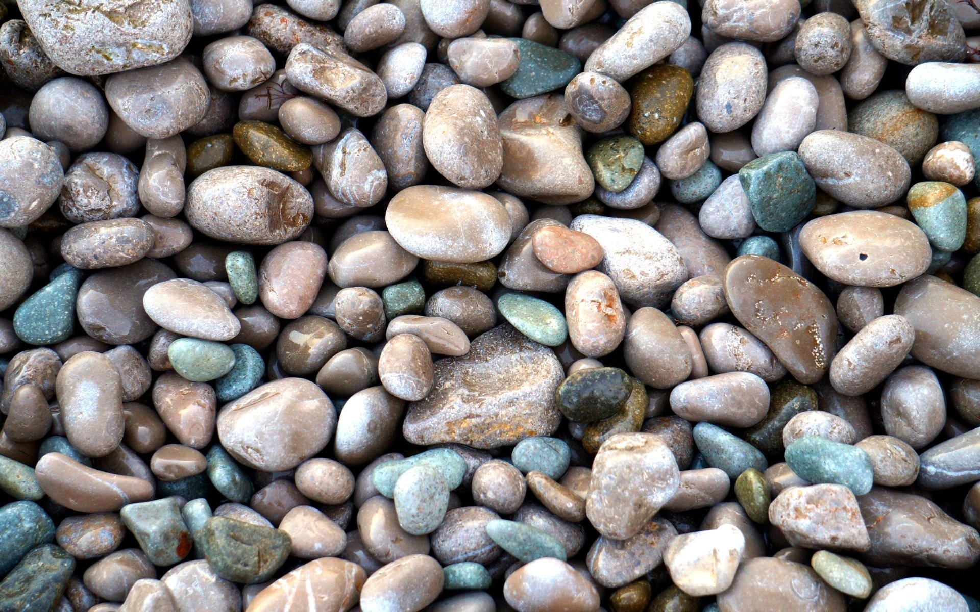 Морские камни