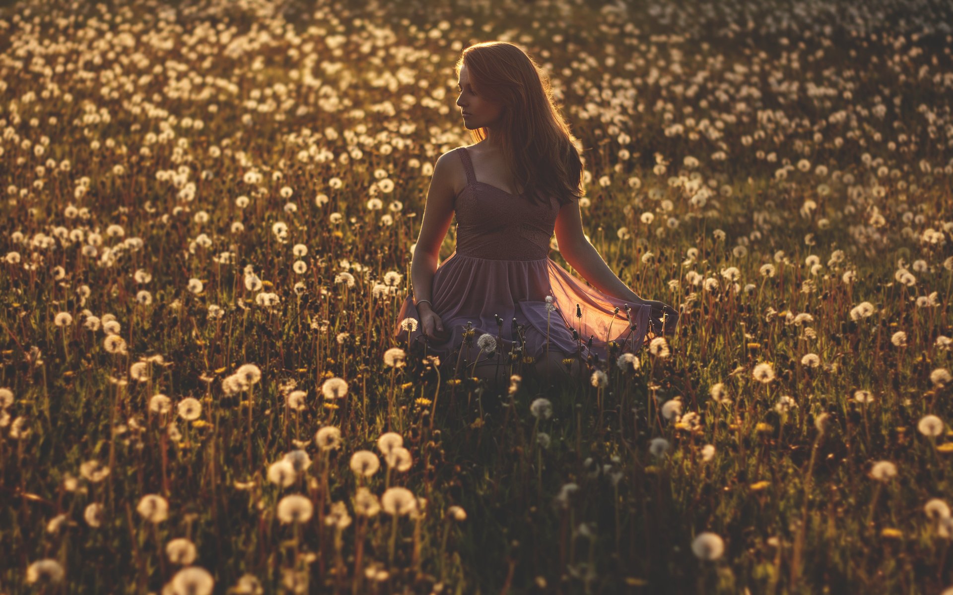 Обои цветы, девушка, платье, поле, одуванчики, flowers, girl, dress, field, dandelions разрешение 3708x2412 Загрузить