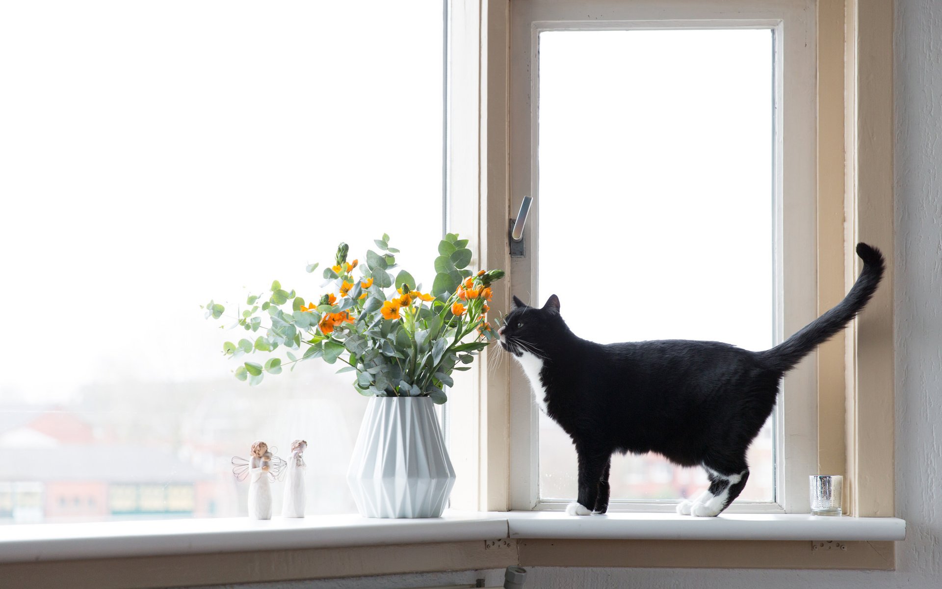черная кошка в интерьере