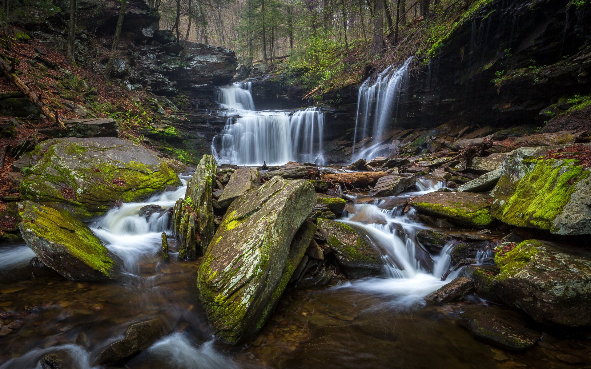 Обои деревья, камни, лес, ручей, водопад, сша, мох, ricketts glen state park, trees, stones, forest, stream, waterfall, usa, moss разрешение 3209x2000 Загрузить