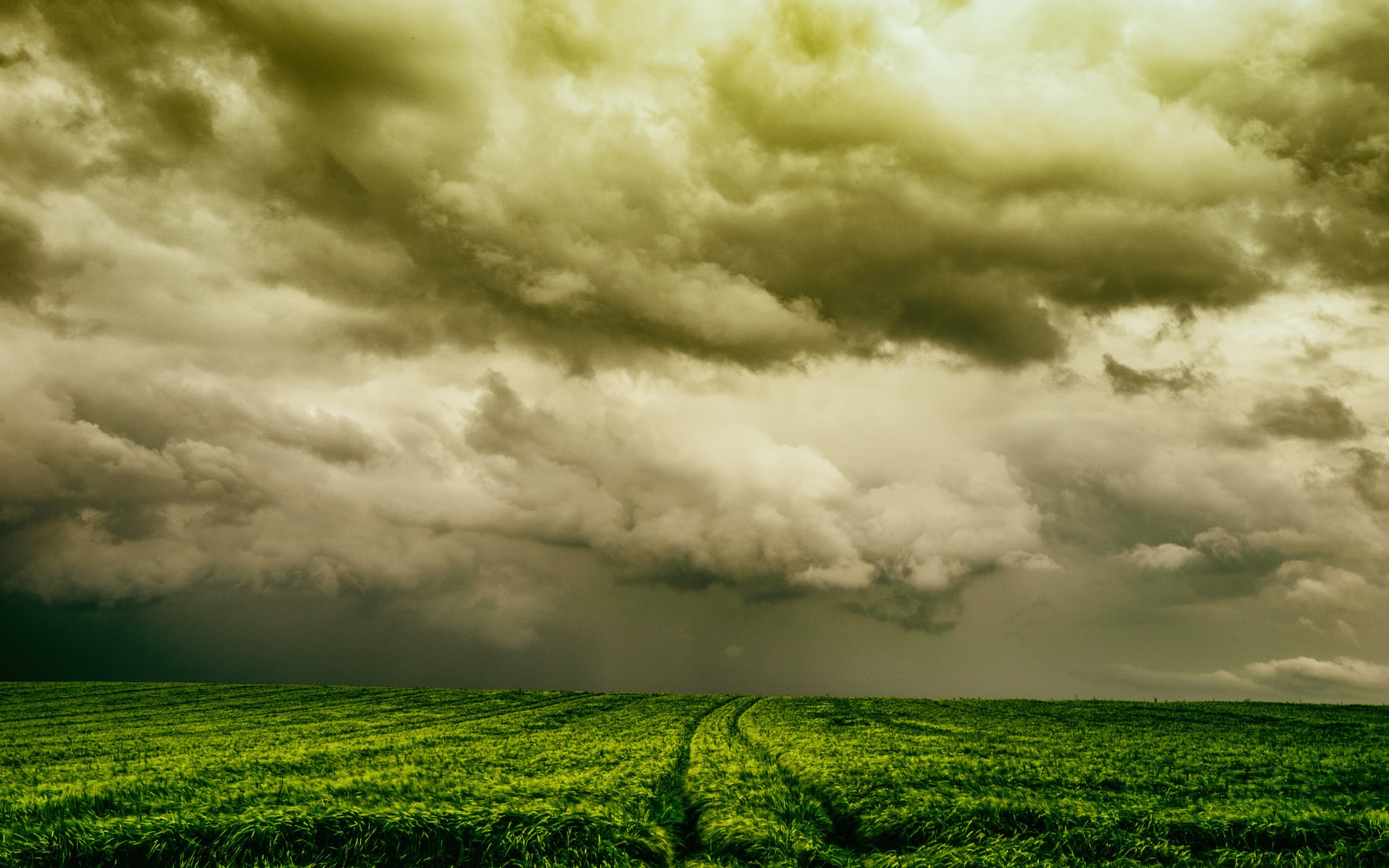 Обои небо, природа, поле, the sky, nature, field разрешение 2048x1365 Загрузить