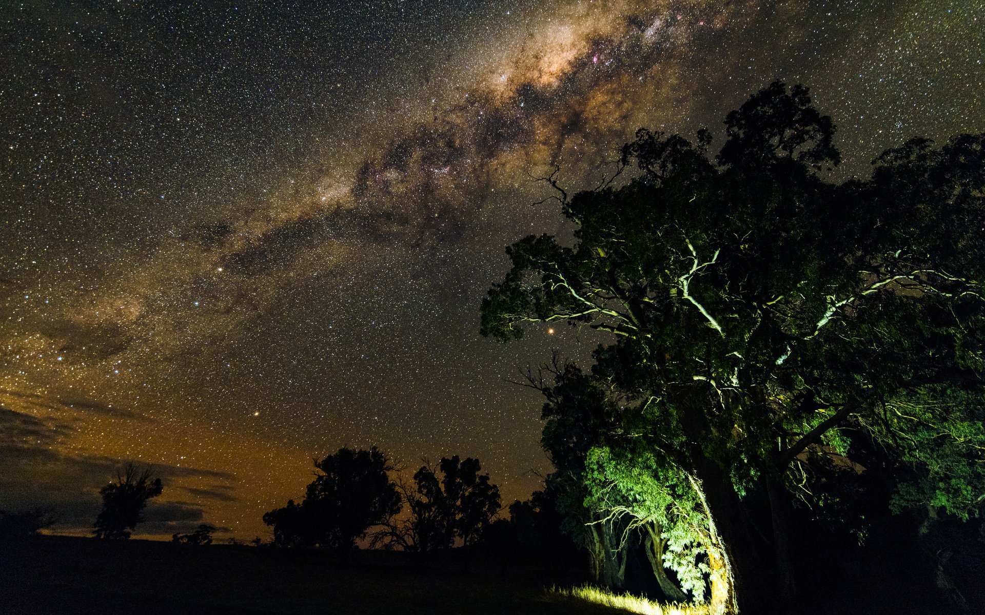 Обои ночь, деревья, природа, звезды, млечный путь, night, trees, nature, stars, the milky way разрешение 2048x1367 Загрузить