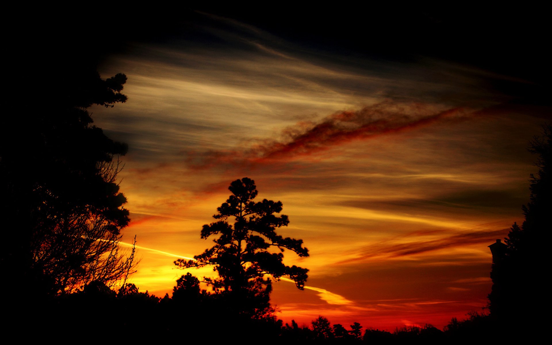 Обои деревья, вечер, закат, силуэты, тёмные, trees, the evening, sunset, silhouettes, dark разрешение 2560x1600 Загрузить