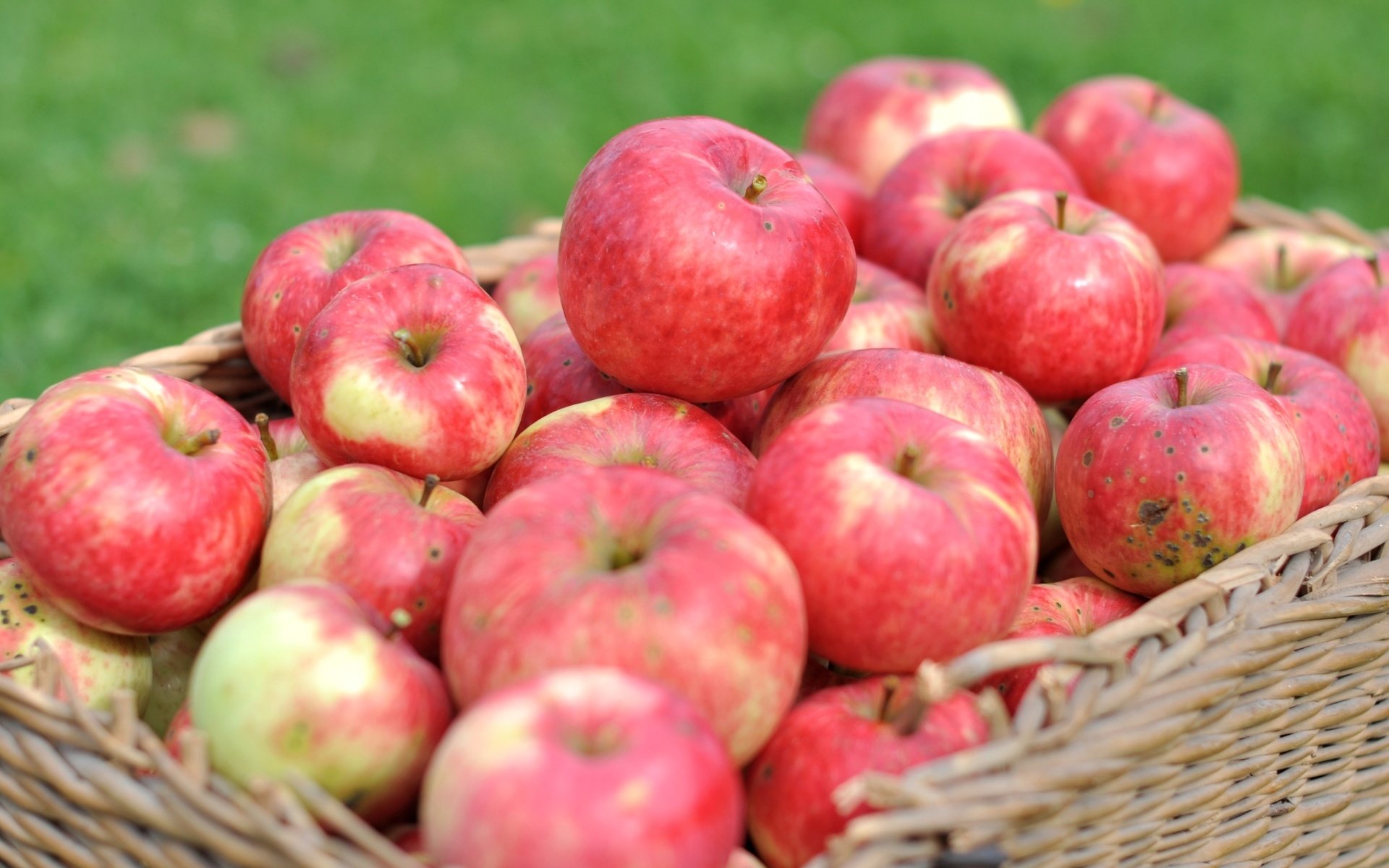 Обои макро, фрукты, яблоки, корзина, урожай, macro, fruit, apples, basket, harvest разрешение 2400x1594 Загрузить