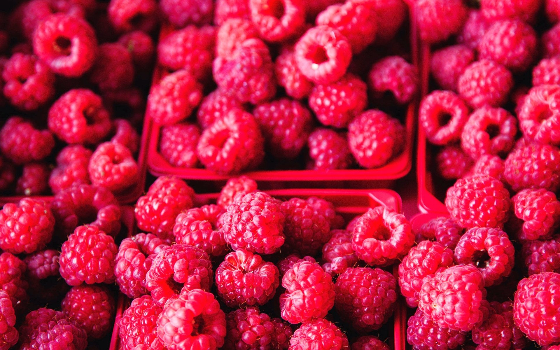 Обои малина, ягоды, много, raspberry, berries, a lot разрешение 2048x1365 Загрузить