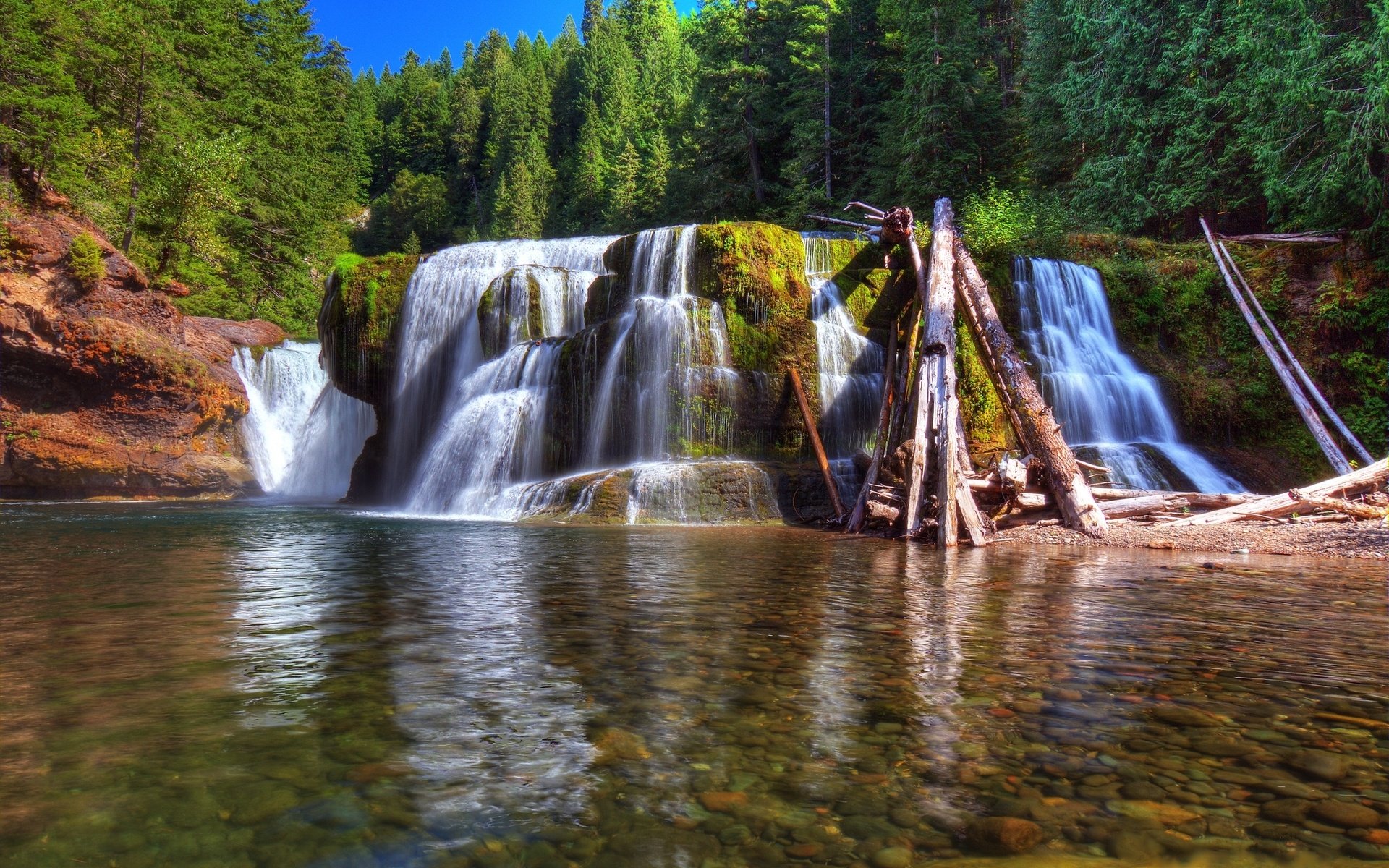 Обои деревья, мох, река, бревна, камни, солнечно, зелень, lewis river, лес, водопад, вашингтон, сша, trees, moss, river, logs, stones, sunny, greens, forest, waterfall, washington, usa разрешение 2048x1367 Загрузить