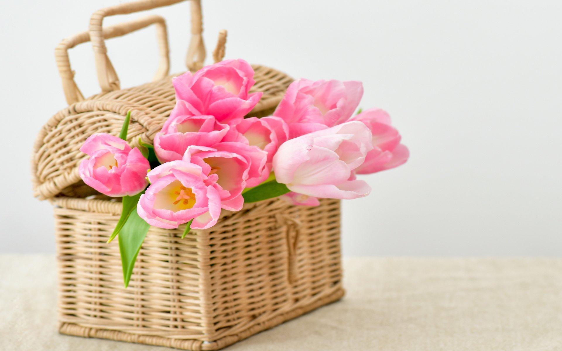 Обои цветы, букет, корзина, тюльпаны, тульпаны,  цветы, pink-tulips-flowers-bouquet.jpg pink, flowers, bouquet, basket, tulips разрешение 4585x3057 Загрузить