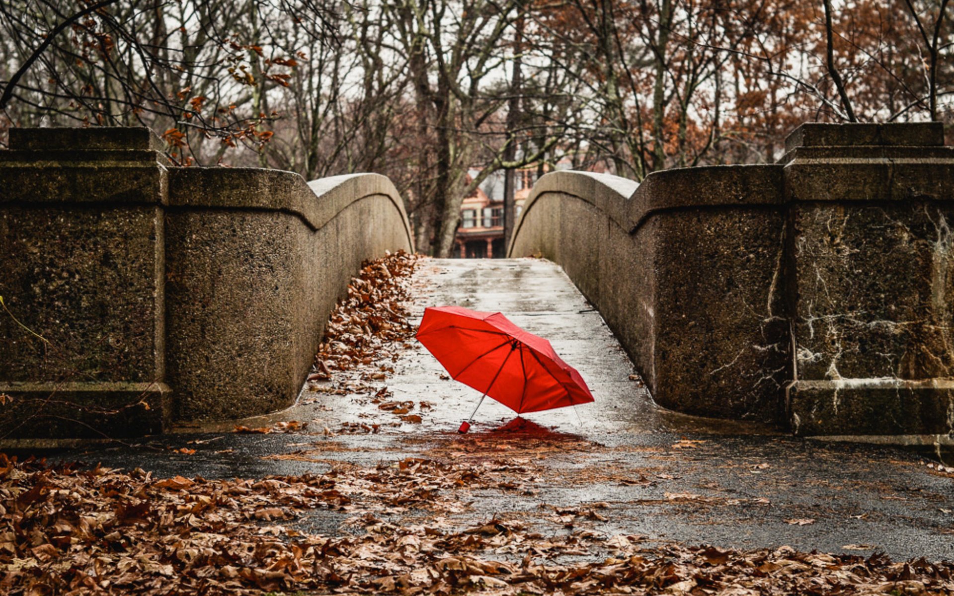 Обои мост, город, осень, красный, зонтик, bridge, the city, autumn, red, umbrella разрешение 2048x1305 Загрузить