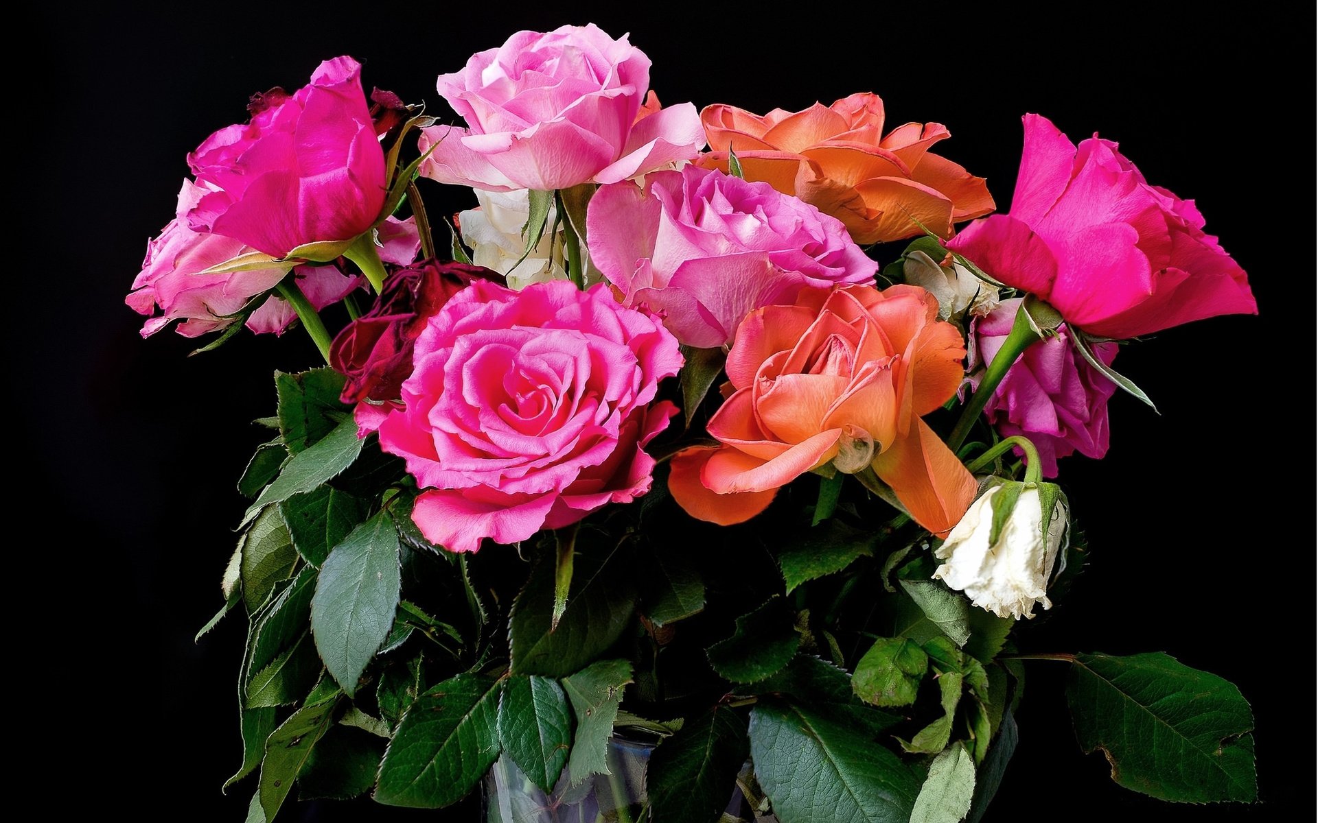 Обои розы, букет, розовые, красивые, роз, roses, bouquet, pink, beautiful разрешение 2041x1359 Загрузить