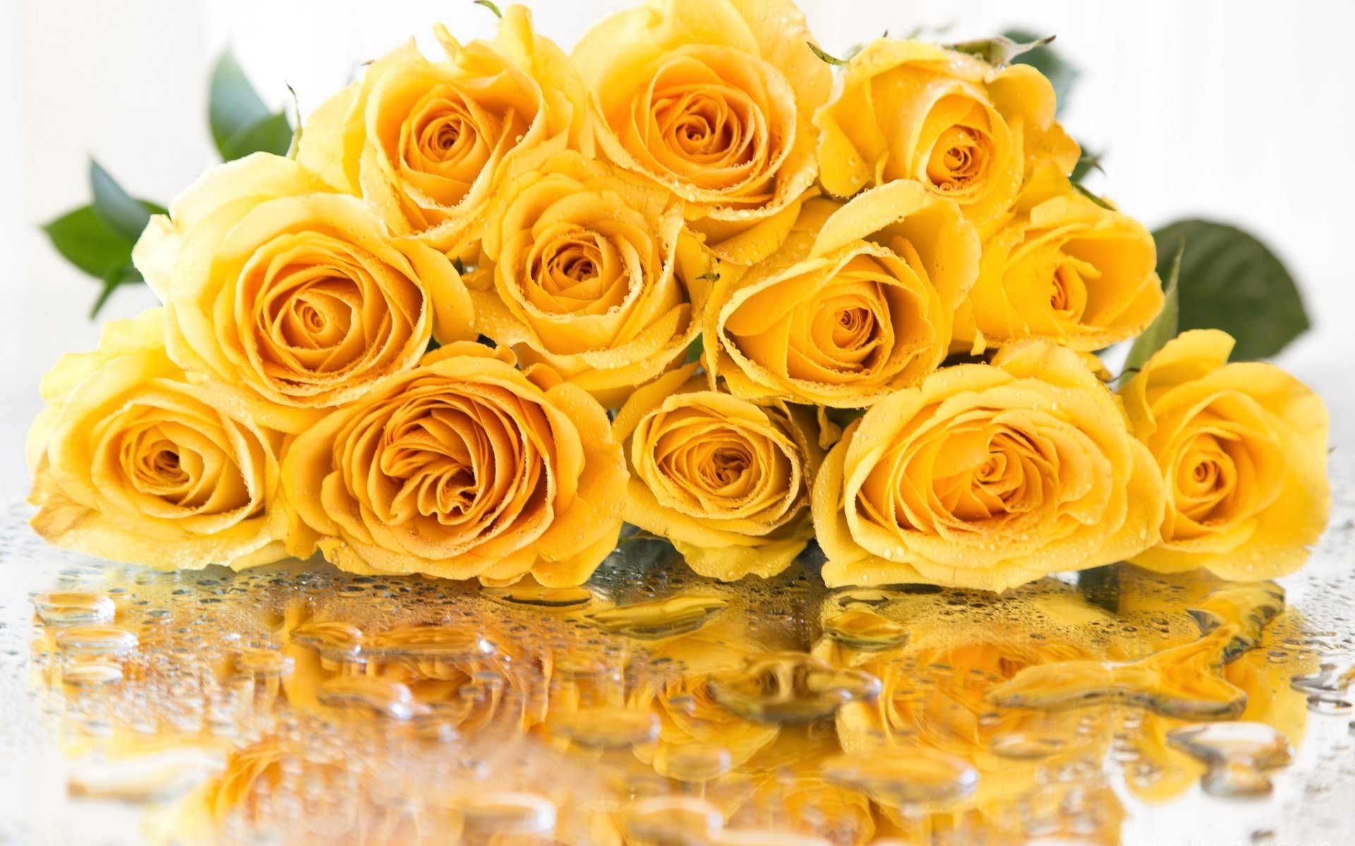 Обои отражение, капли, розы, букет, желтые, reflection, drops, roses, bouquet, yellow разрешение 2048x1365 Загрузить