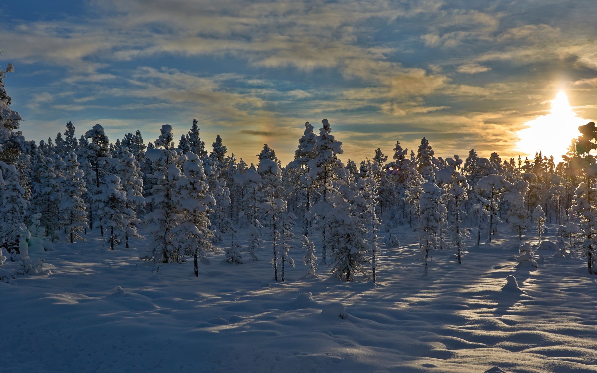 Обои деревья, снег, закат, зима, норвегия, trees, snow, sunset, winter, norway разрешение 4559x2564 Загрузить