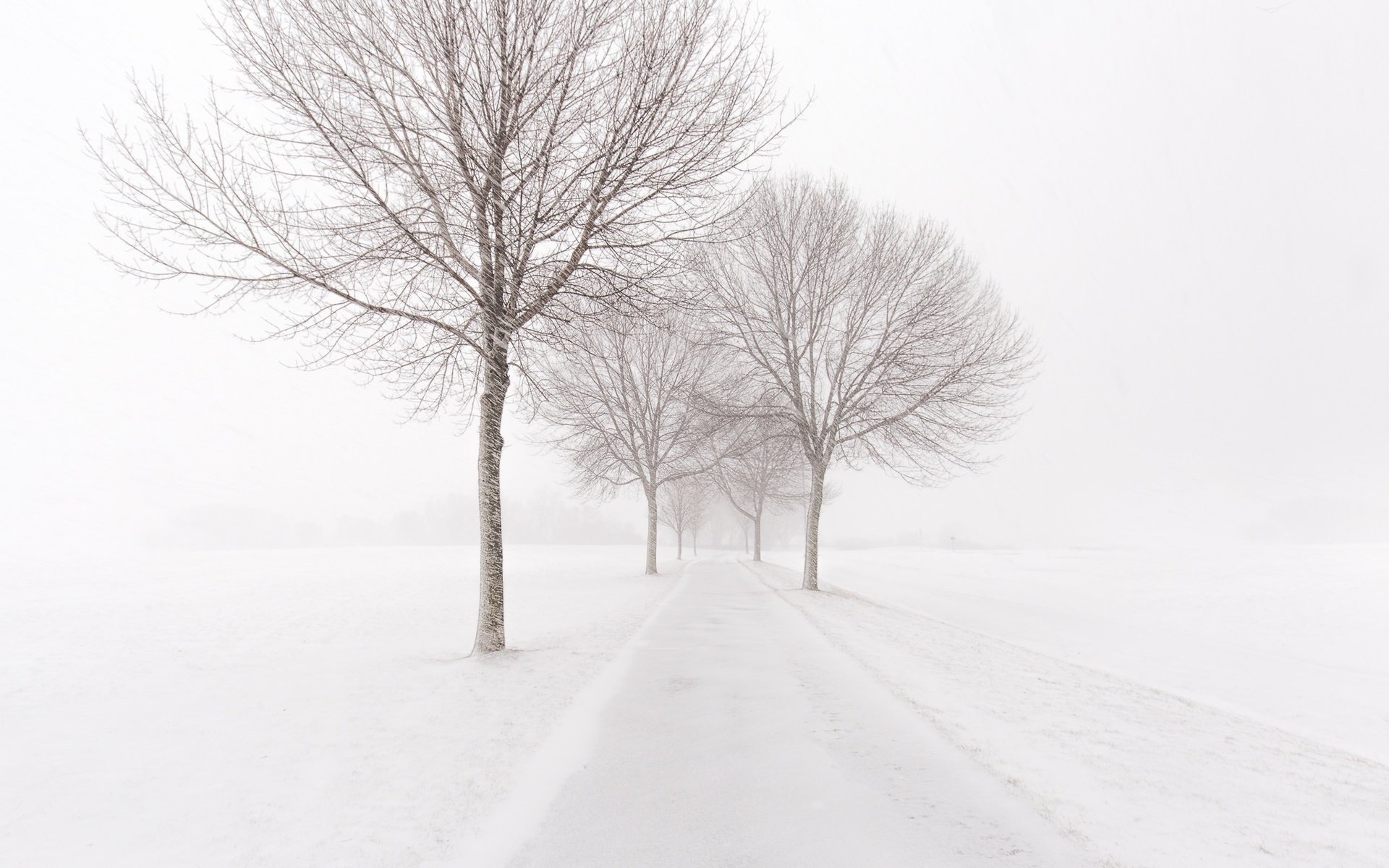 Обои дорога, деревья, снег, зима, метель, road, trees, snow, winter, blizzard разрешение 2048x1365 Загрузить