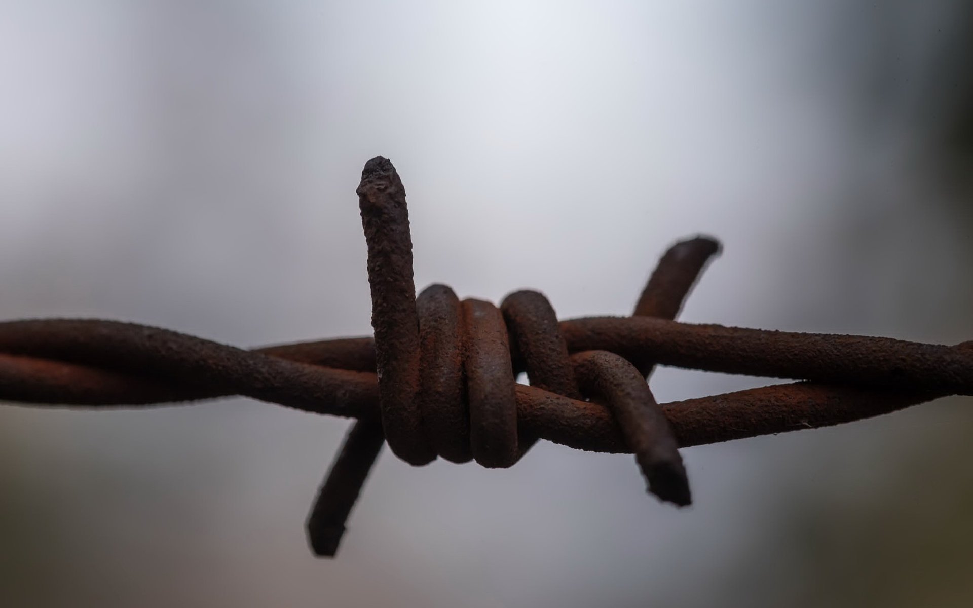 Обои макро, фон, проволока, забор, колючая проволока, macro, background, wire, the fence, barbed wire разрешение 2047x1285 Загрузить