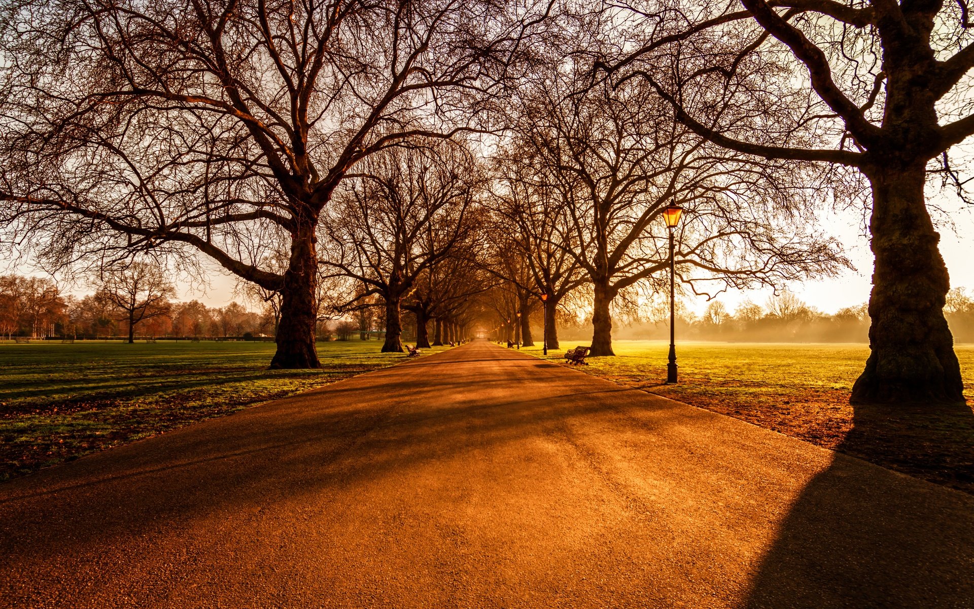 Обои восход, лондон, battersea park, sunrise, london разрешение 5978x3720 Загрузить