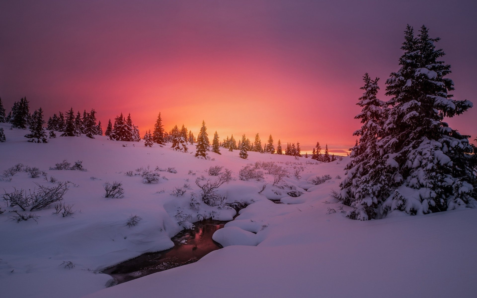 Обои деревья, вечер, река, снег, природа, закат, зима, елки, trees, the evening, river, snow, nature, sunset, winter, tree разрешение 2048x1272 Загрузить