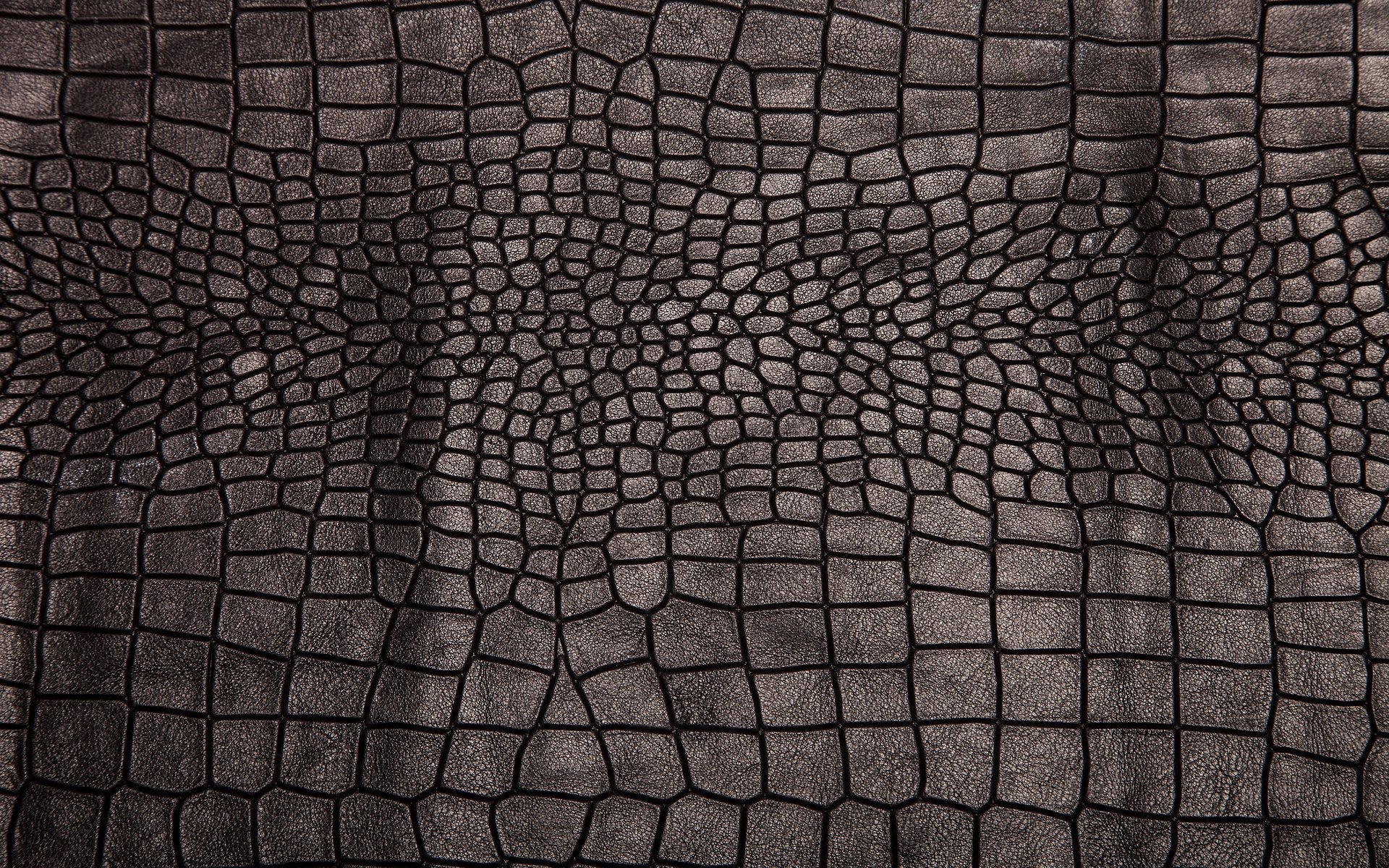 Обои текстура, фон, черный, кожа, блака, етекстура, crocodile skin, кожа крокодила, texture, background, black, leather, crocodile leather разрешение 5616x3744 Загрузить