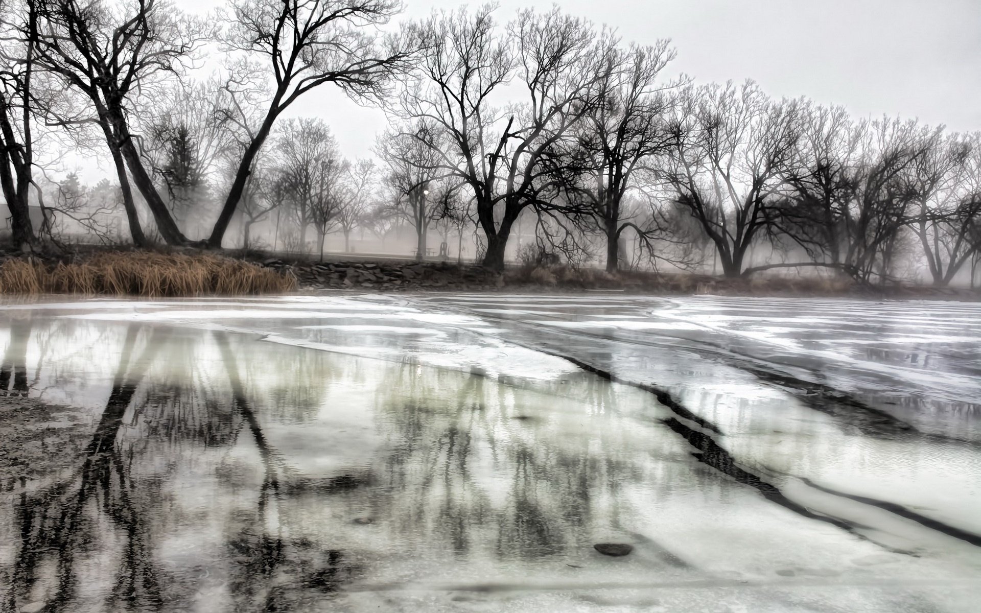 Обои деревья, река, зима, отражение, лёд, trees, river, winter, reflection, ice разрешение 1920x1280 Загрузить