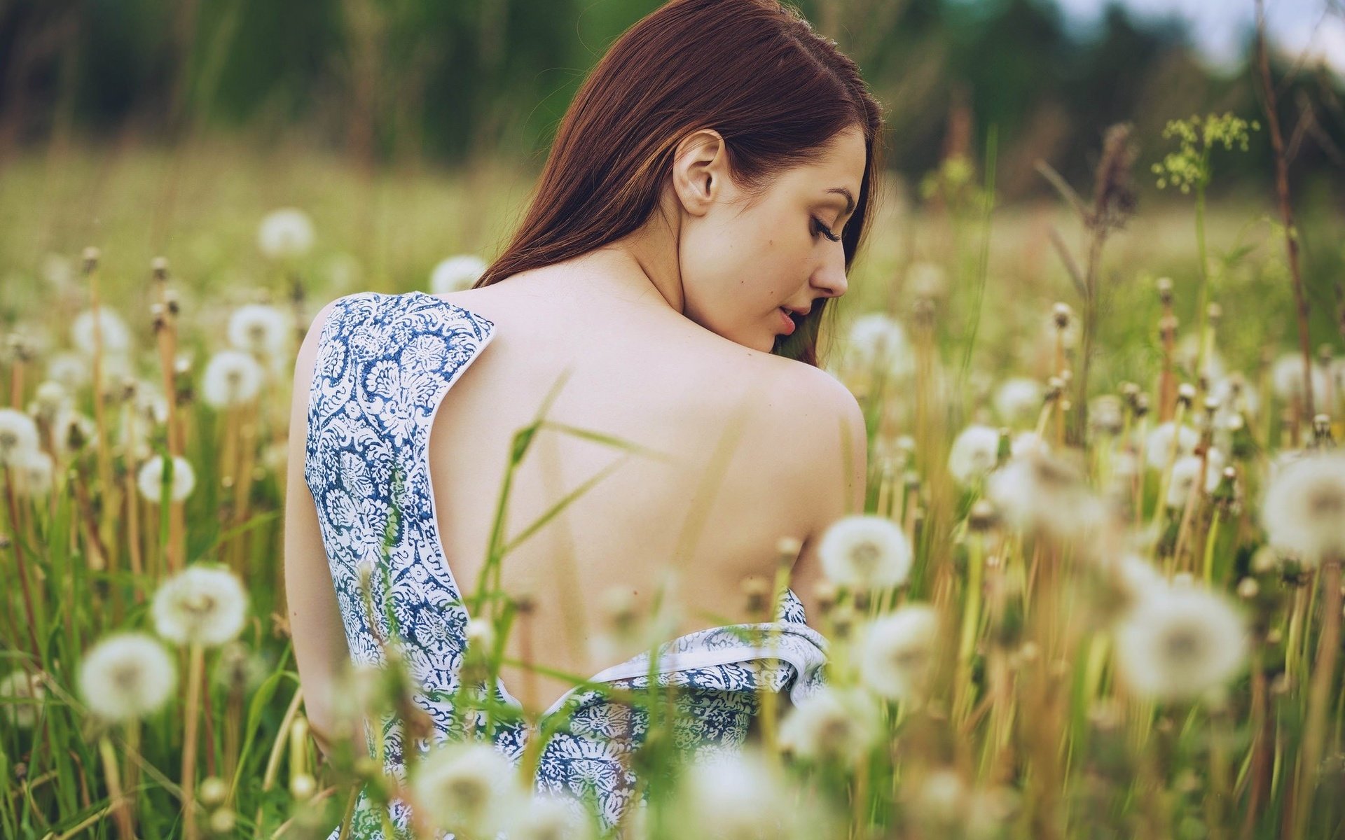 Обои цветы, природа, девушка, платье, flowers, nature, girl, dress разрешение 2048x1365 Загрузить