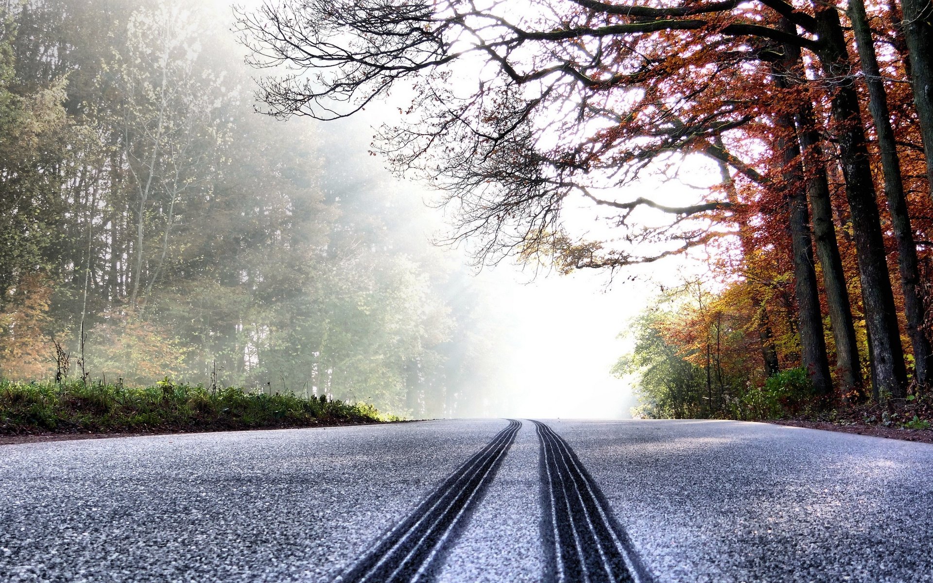 Обои дорога, деревья, лес, зима, road, trees, forest, winter разрешение 2560x1707 Загрузить