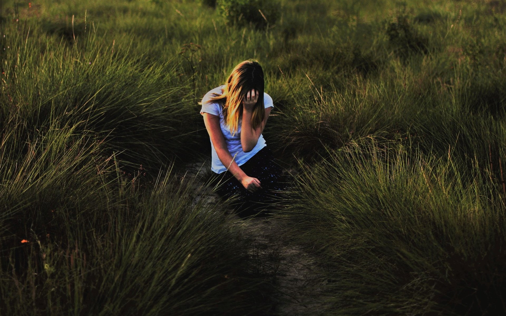 Обои трава, девушка, одиночество, солнечный свет, grass, girl, loneliness, sunlight разрешение 2560x1863 Загрузить