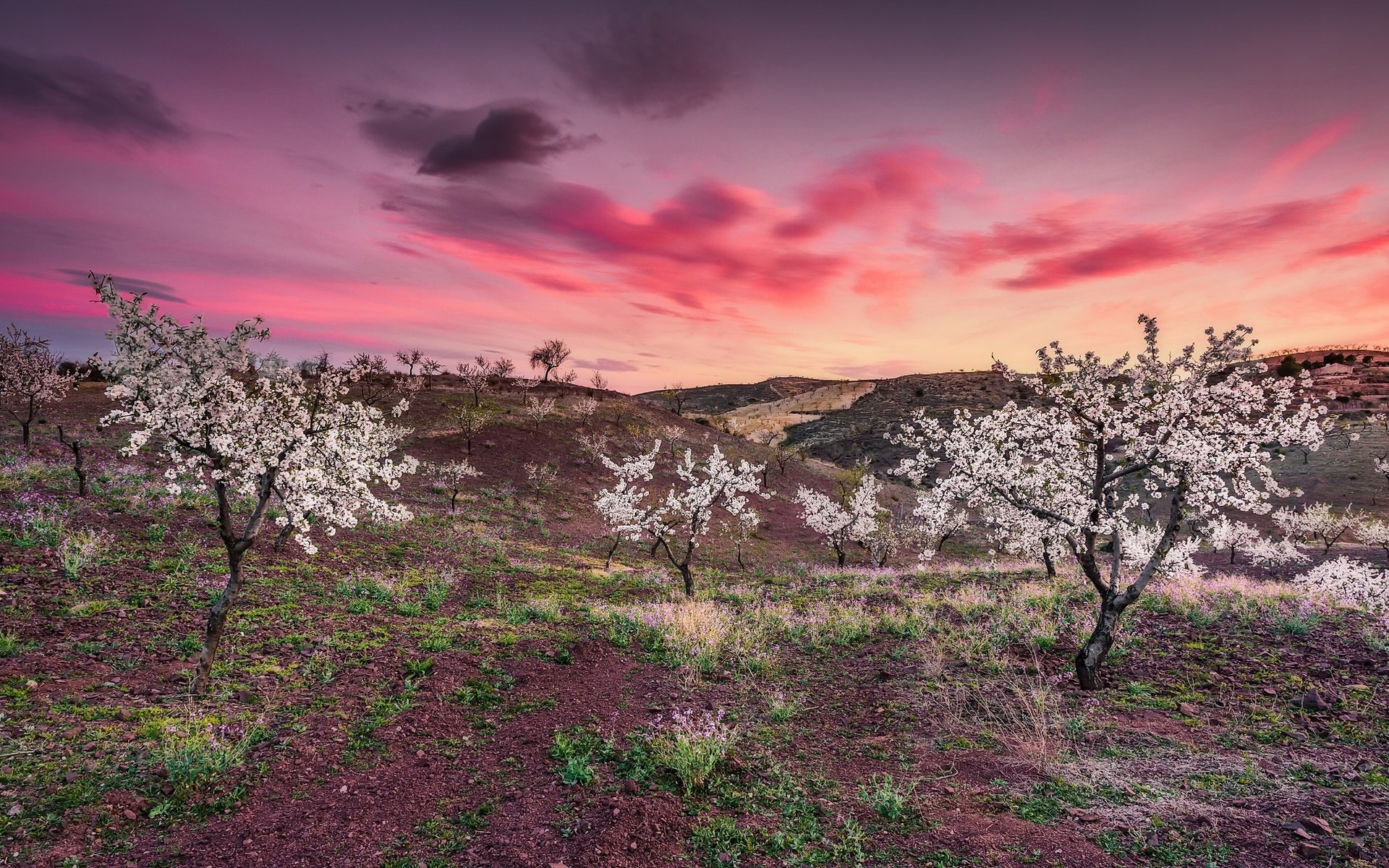 Обои небо, облака, деревья, закат, весна, the sky, clouds, trees, sunset, spring разрешение 2048x1204 Загрузить