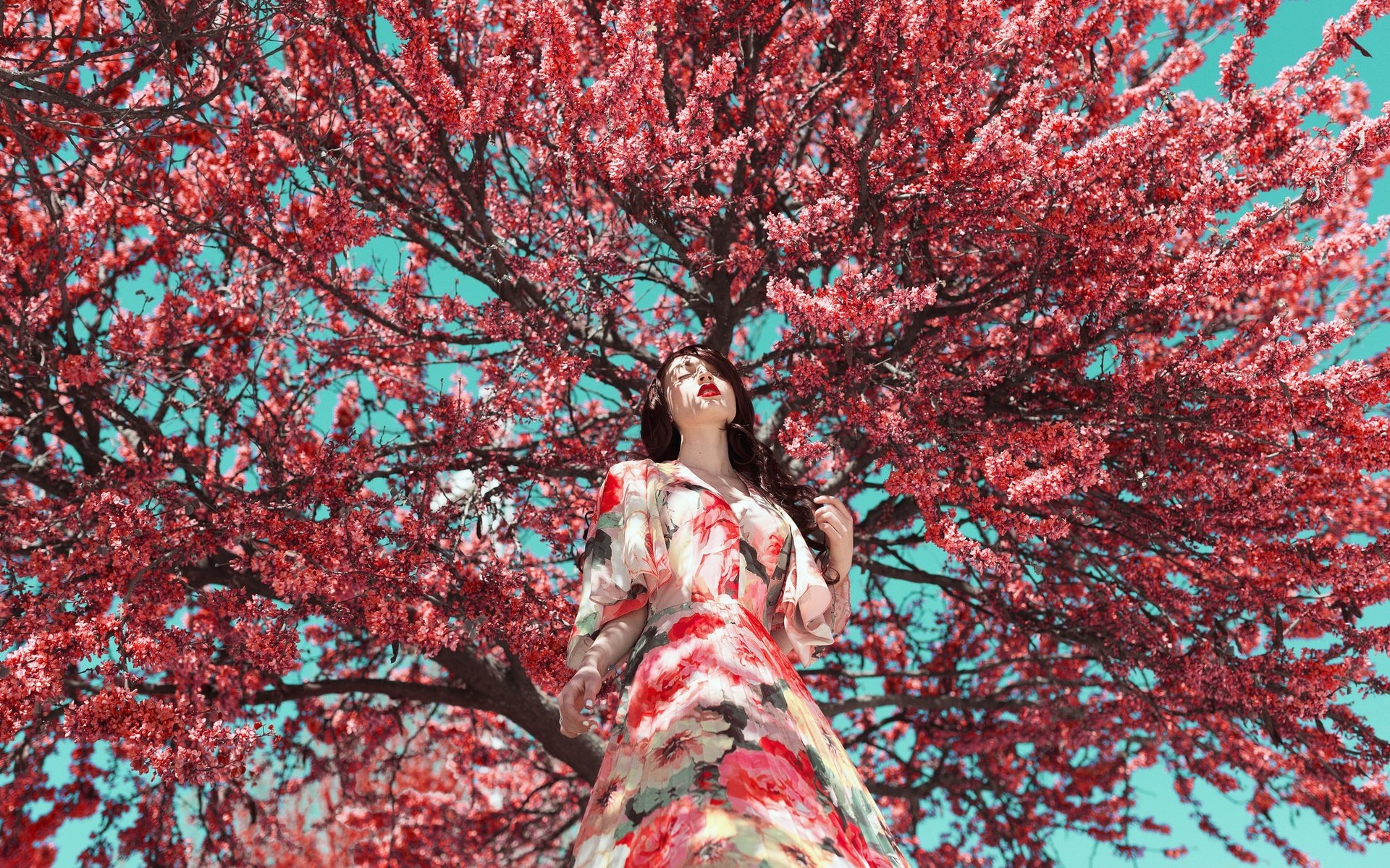 Обои дерево, цветение, девушка, платье, модель, весна, лицо, tree, flowering, girl, dress, model, spring, face разрешение 2048x1365 Загрузить