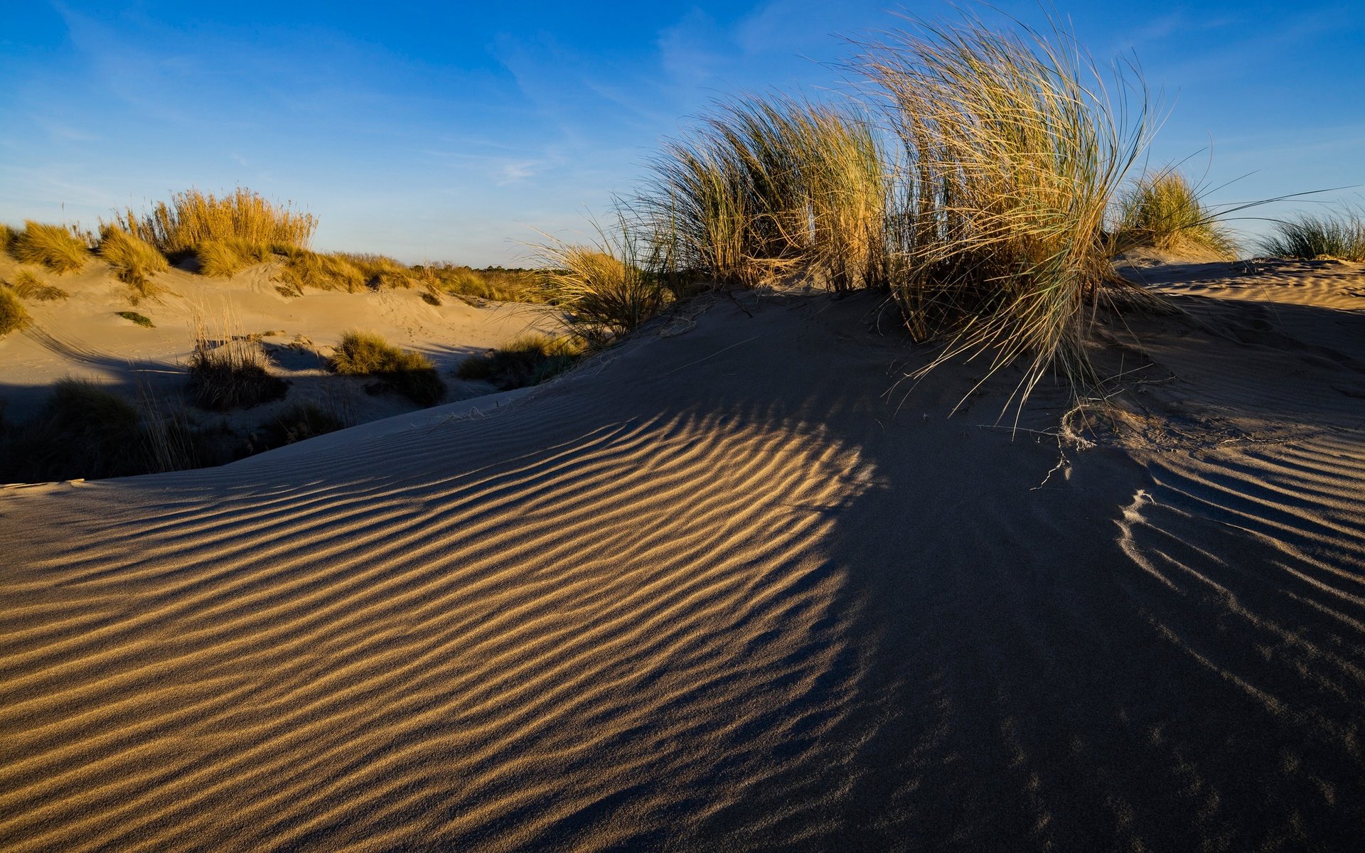 Обои трава, песок, франция, дюны, ле гро-дю-руа, grass, sand, france, dunes, le grau-du-roi разрешение 2048x1367 Загрузить