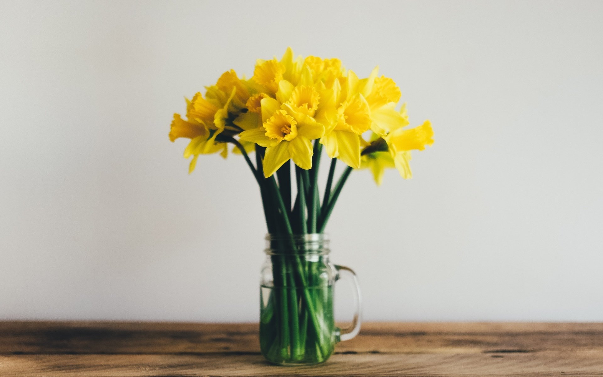 Обои цветы, букет, нарциссы, желтые, flowers, bouquet, daffodils, yellow разрешение 2560x1440 Загрузить