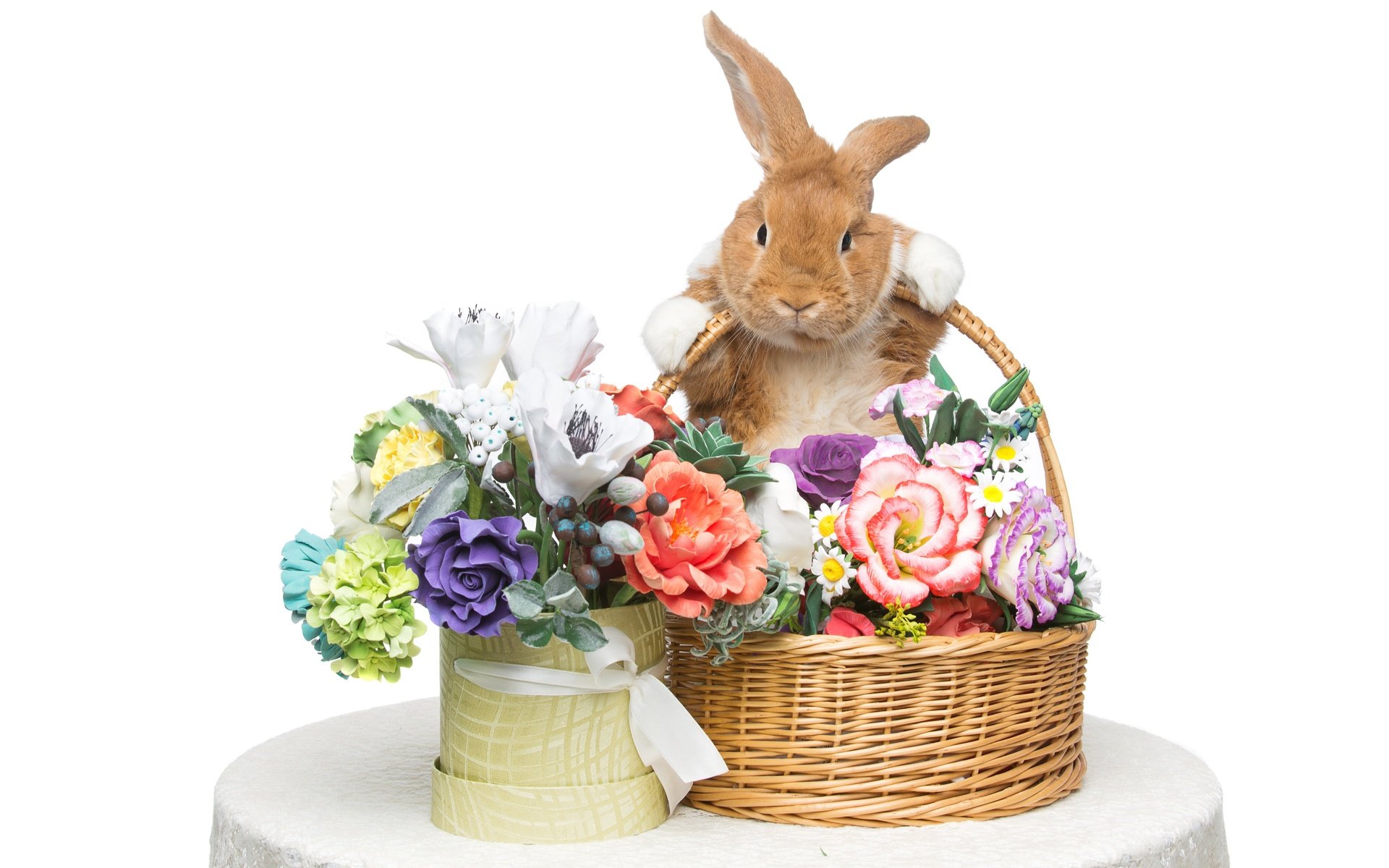 Обои цветы, корзина, кролик, пасха, flowers, basket, rabbit, easter разрешение 5544x3696 Загрузить