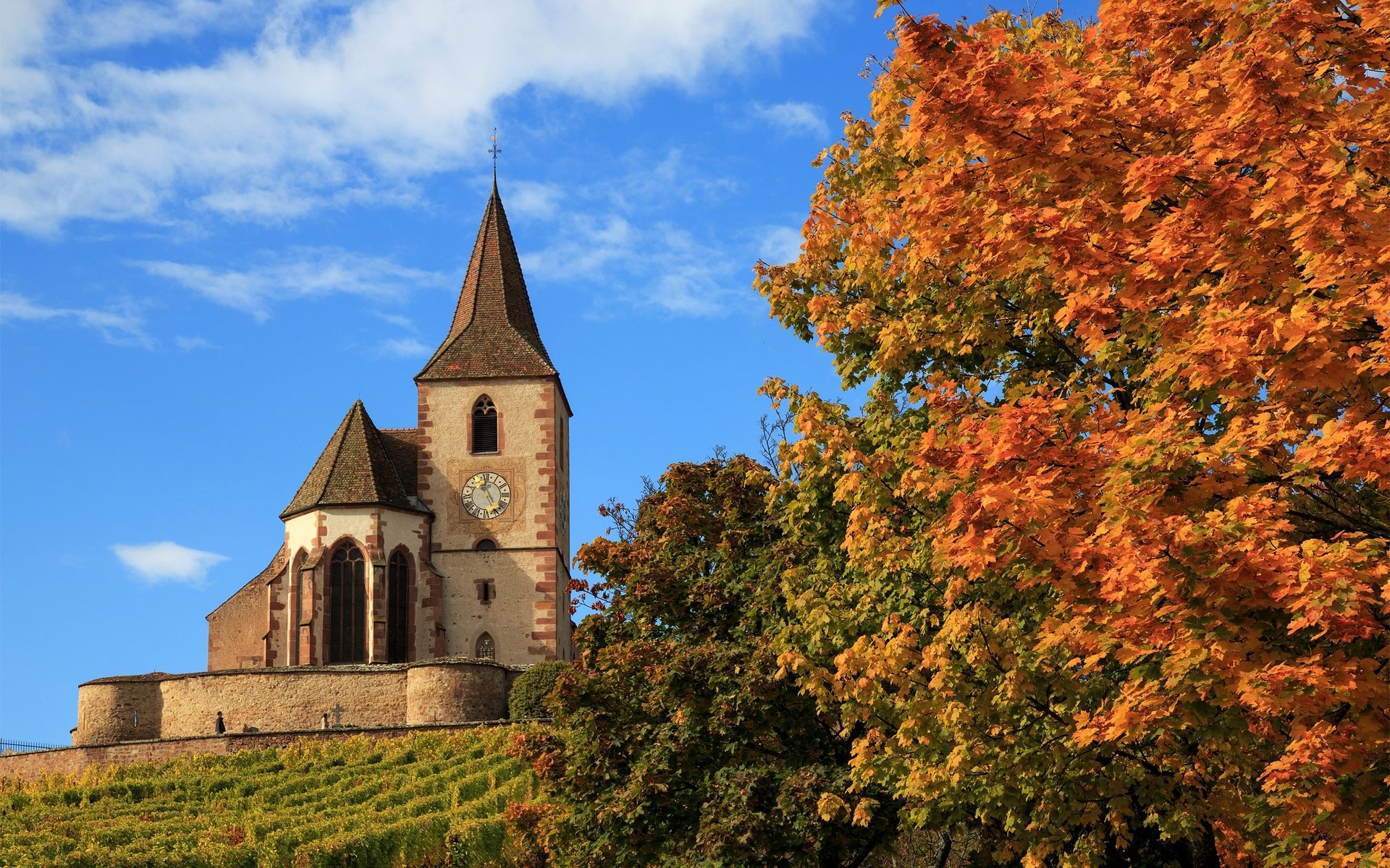 Обои деревья, осень, церковь, франция, hunawihr, church saint-jacques-le-majeur, церковь сен-жак-ле-мажёр, юнавир, trees, autumn, church, france, church of saint-jacques-le-mazher, the hunawihr разрешение 2500x1581 Загрузить