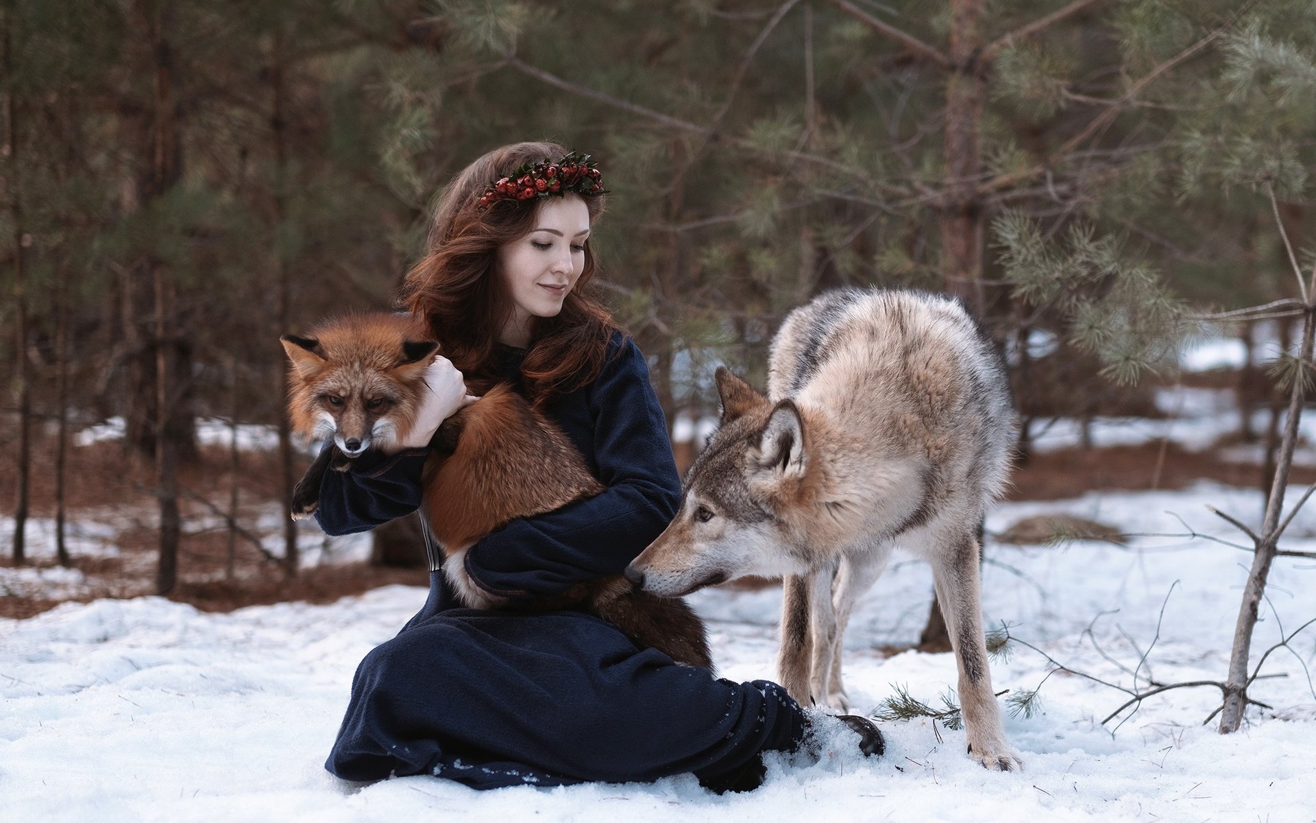 Обои снег, природа, лес, девушка, животные, лиса, волосы, волк, snow, nature, forest, girl, animals, fox, hair, wolf разрешение 2250x1500 Загрузить