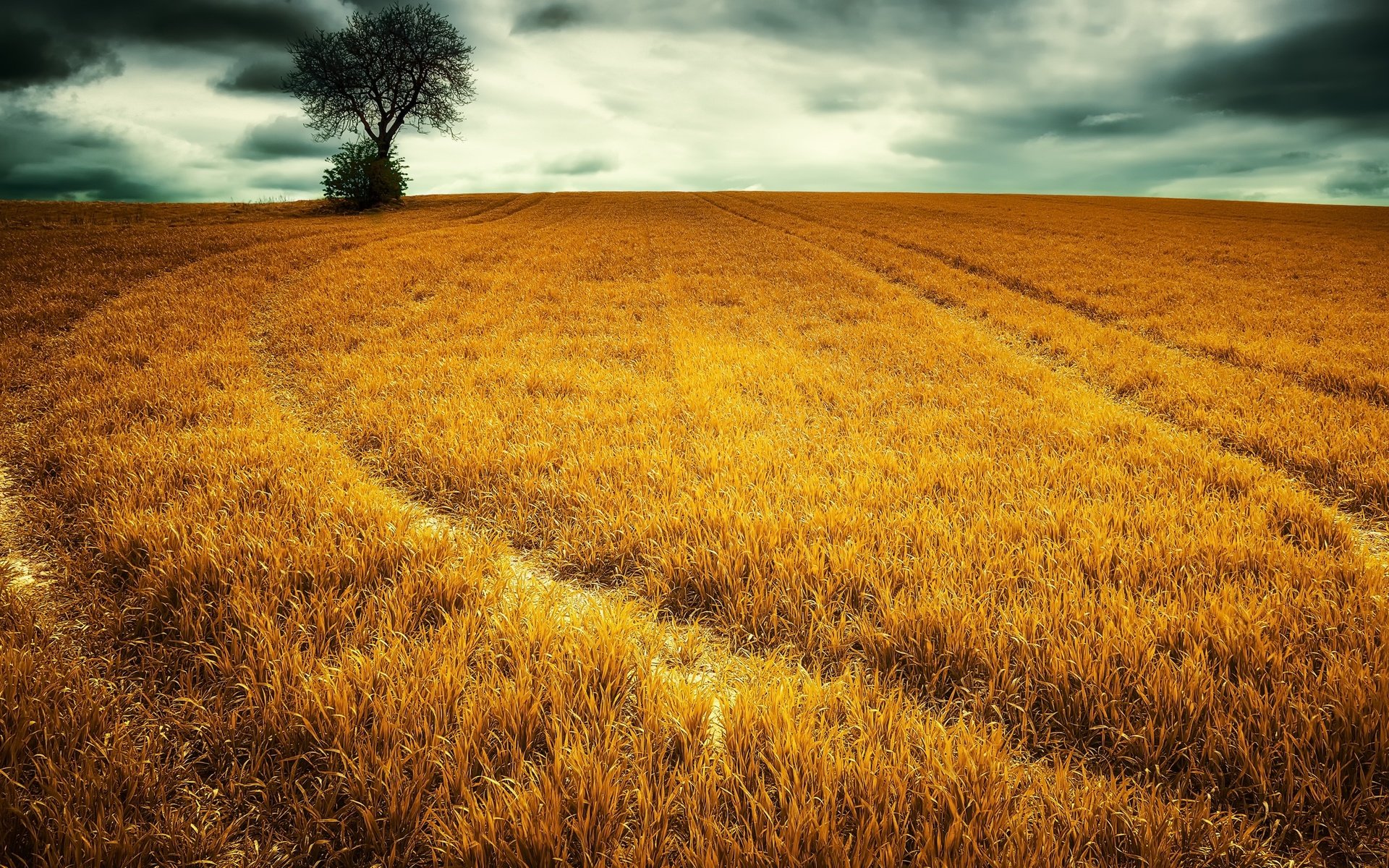 Обои небо, трава, облака, природа, дерево, пейзаж, поле, the sky, grass, clouds, nature, tree, landscape, field разрешение 2560x1587 Загрузить