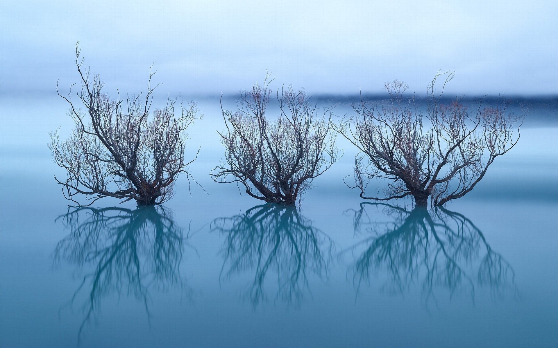 Обои небо, деревья, озеро, отражение, ветки, горизонт, the sky, trees, lake, reflection, branches, horizon разрешение 2048x1365 Загрузить