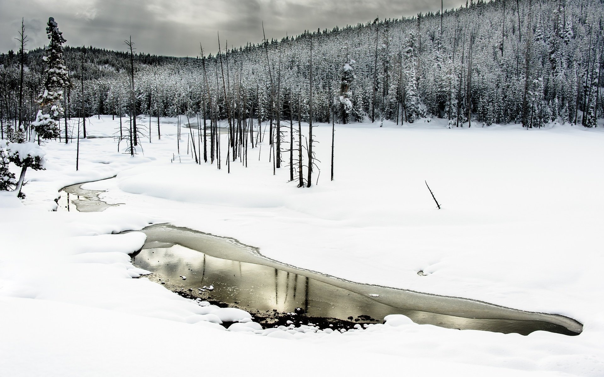 Обои деревья, вода, река, снег, лес, зима, trees, water, river, snow, forest, winter разрешение 2048x1363 Загрузить