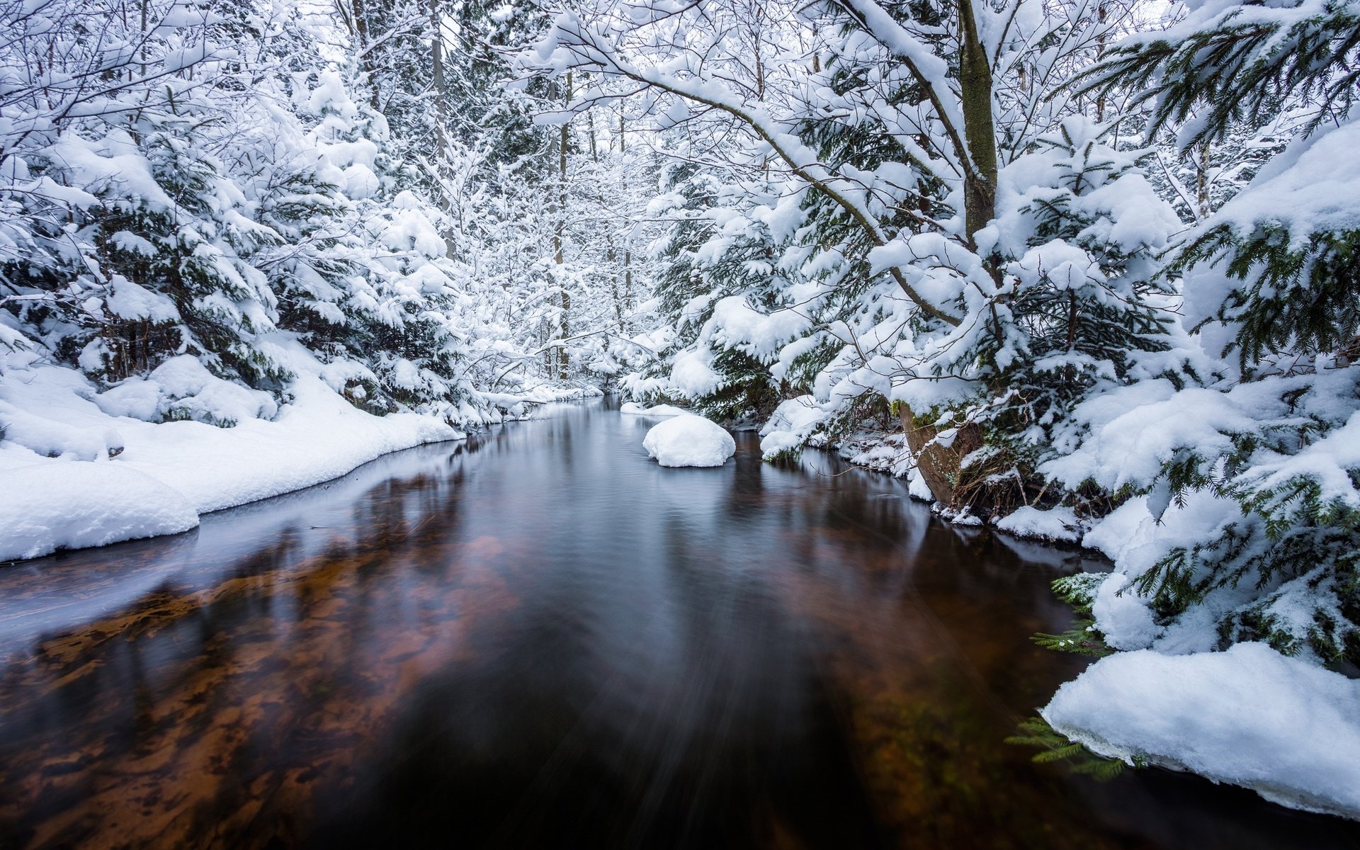 Обои деревья, река, снег, лес, зима, ели, trees, river, snow, forest, winter, ate разрешение 2048x1365 Загрузить