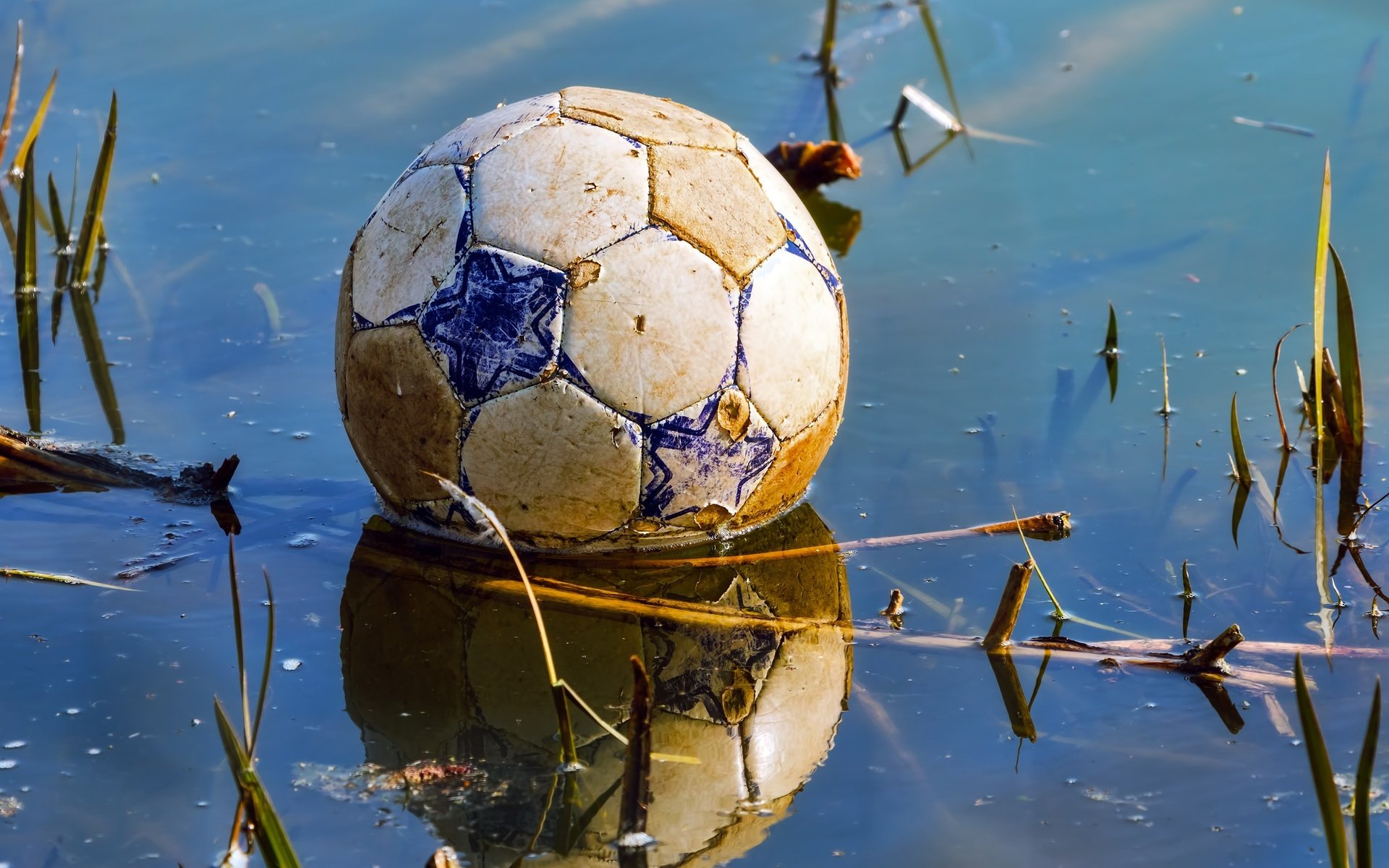 Обои футбол, отражение, мяч, game over, лужа, football, reflection, the ball, puddle разрешение 2560x1708 Загрузить