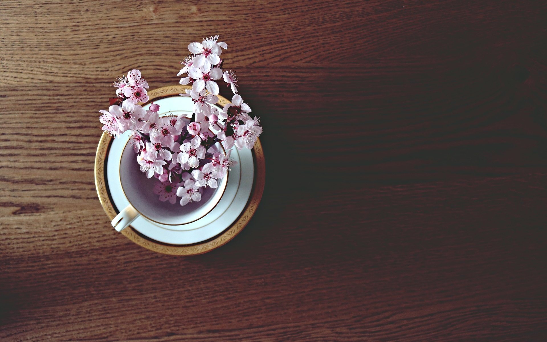 Обои настроение, стол, весна, вишня, чашка, веточки, mood, table, spring, cherry, cup, twigs разрешение 1920x1280 Загрузить