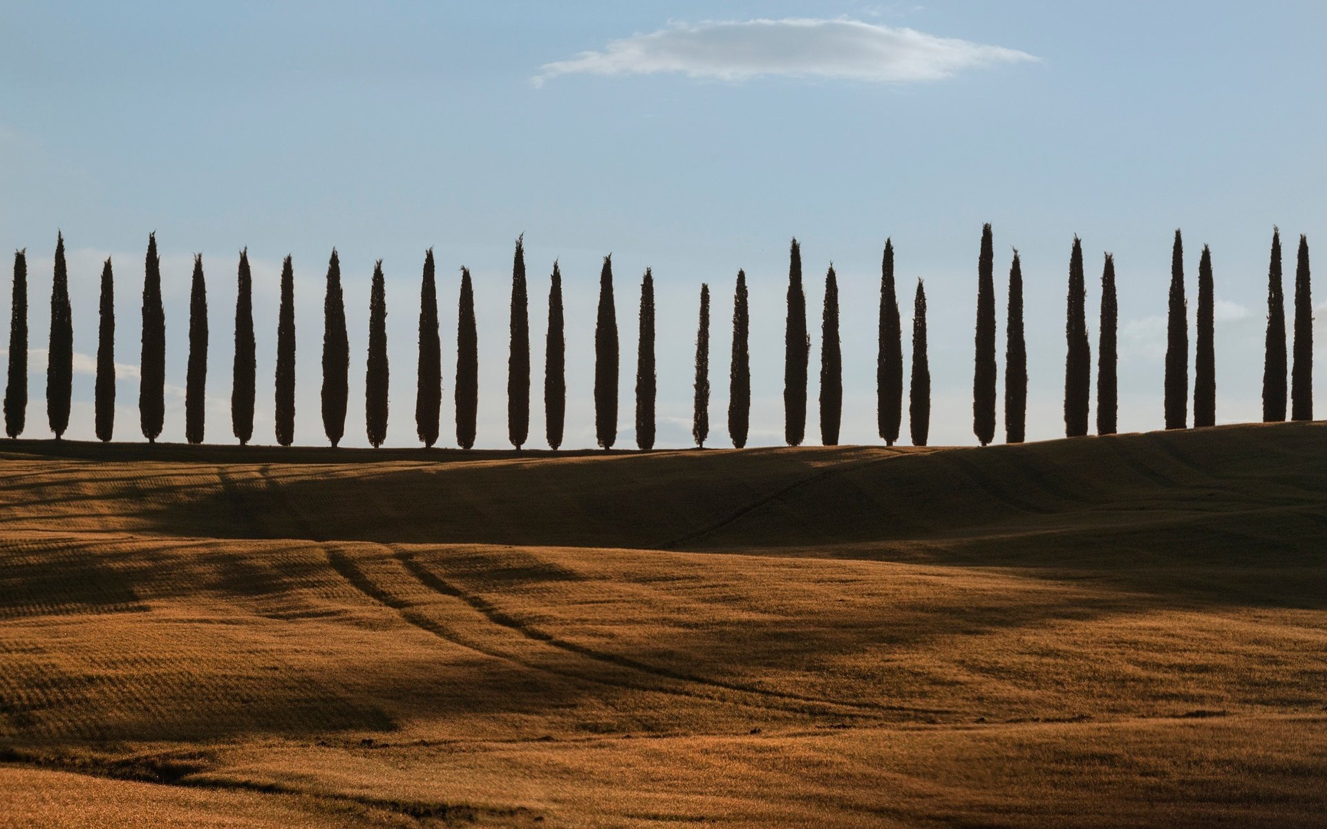 Обои небо, деревья, холмы, поля, италия, тоскана, the sky, trees, hills, field, italy, tuscany разрешение 2048x1367 Загрузить