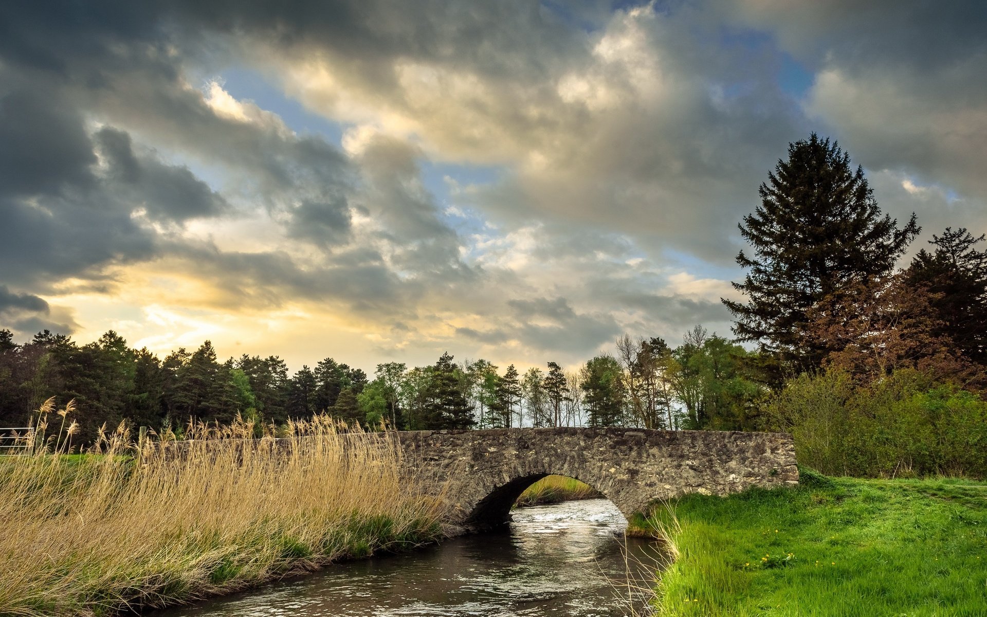 Обои небо, трава, облака, деревья, река, природа, мост, the sky, grass, clouds, trees, river, nature, bridge разрешение 2560x1709 Загрузить