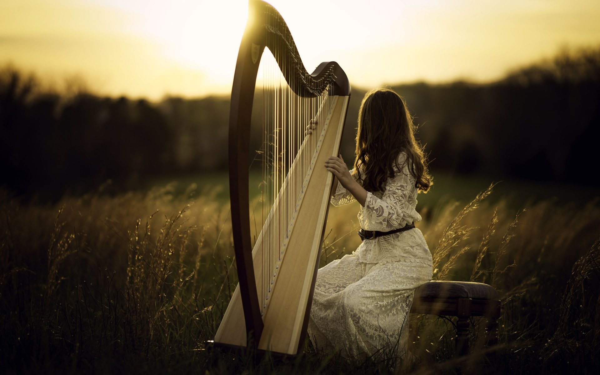 Обои свет, природа, девушка, поле, волосы, арфа, light, nature, girl, field, hair, harp разрешение 2048x1365 Загрузить