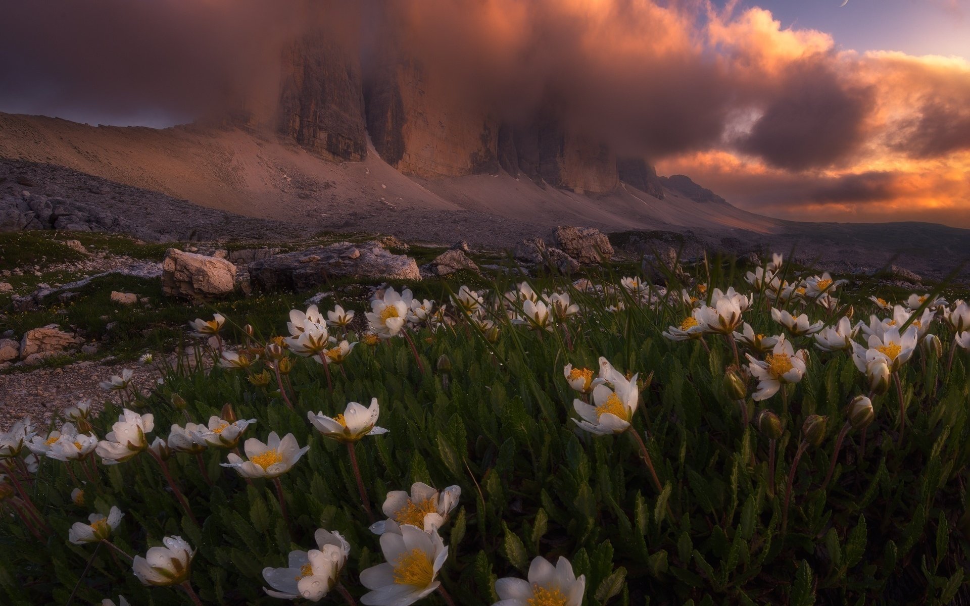 Обои свет, цветы, облака, горы, природа, весна, альпы, light, flowers, clouds, mountains, nature, spring, alps разрешение 1920x1693 Загрузить