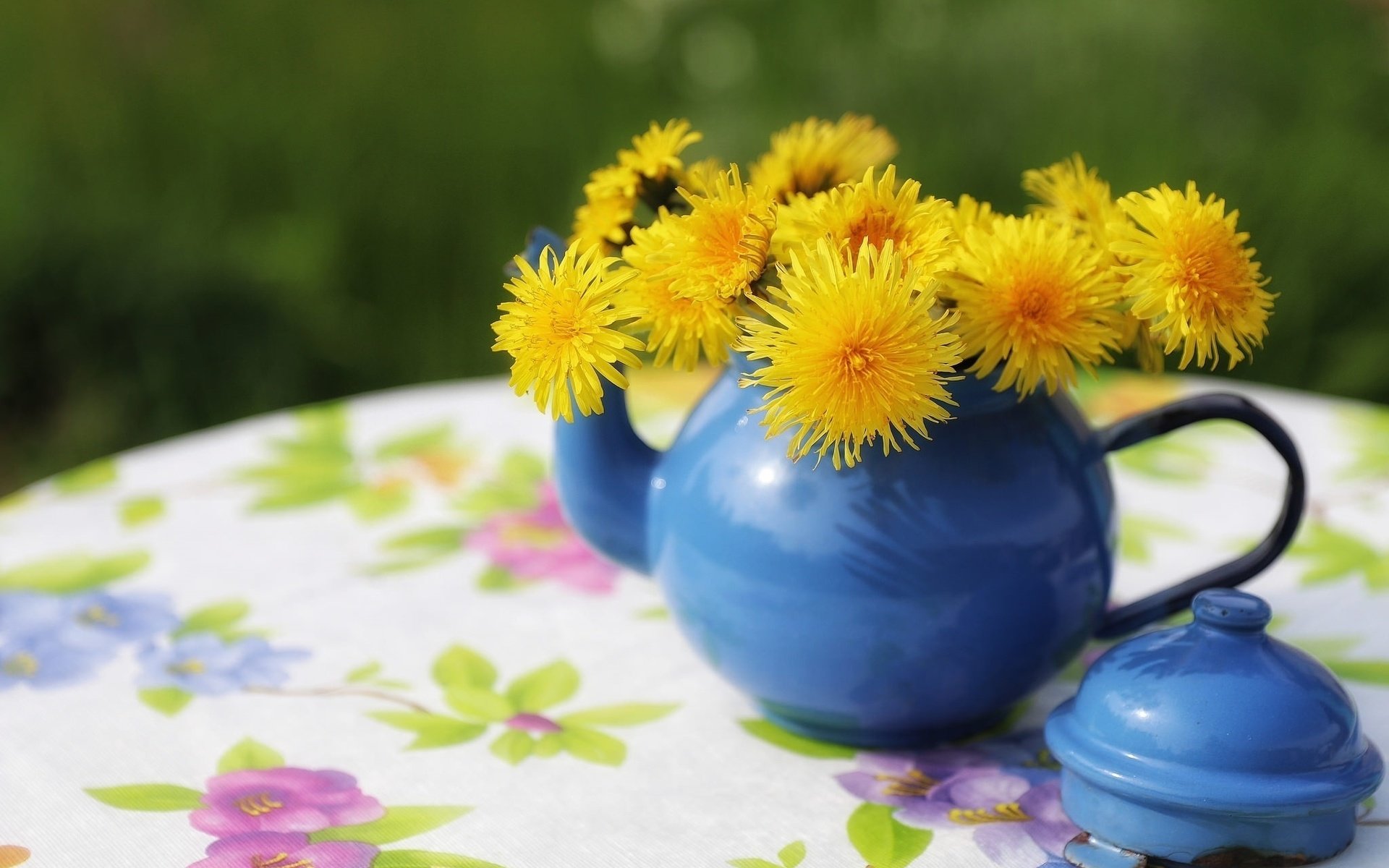 Обои цветы, стол, одуванчики, чайник, скатерть, flowers, table, dandelions, kettle, tablecloth разрешение 2048x1365 Загрузить