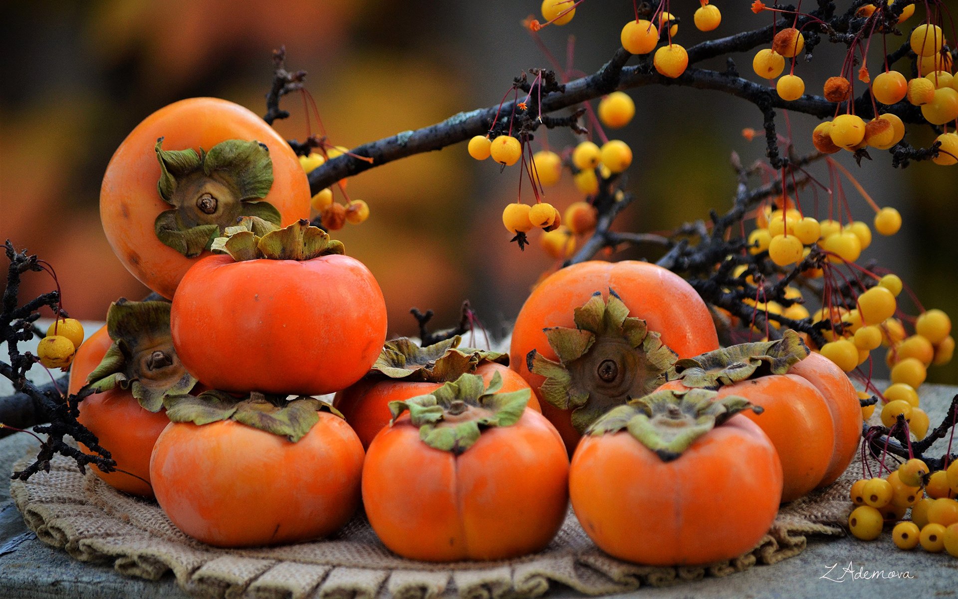 Обои ветки, фрукты, осень, ягоды, салфетка, хурма, branches, fruit, autumn, berries, napkin, persimmon разрешение 2860x1895 Загрузить