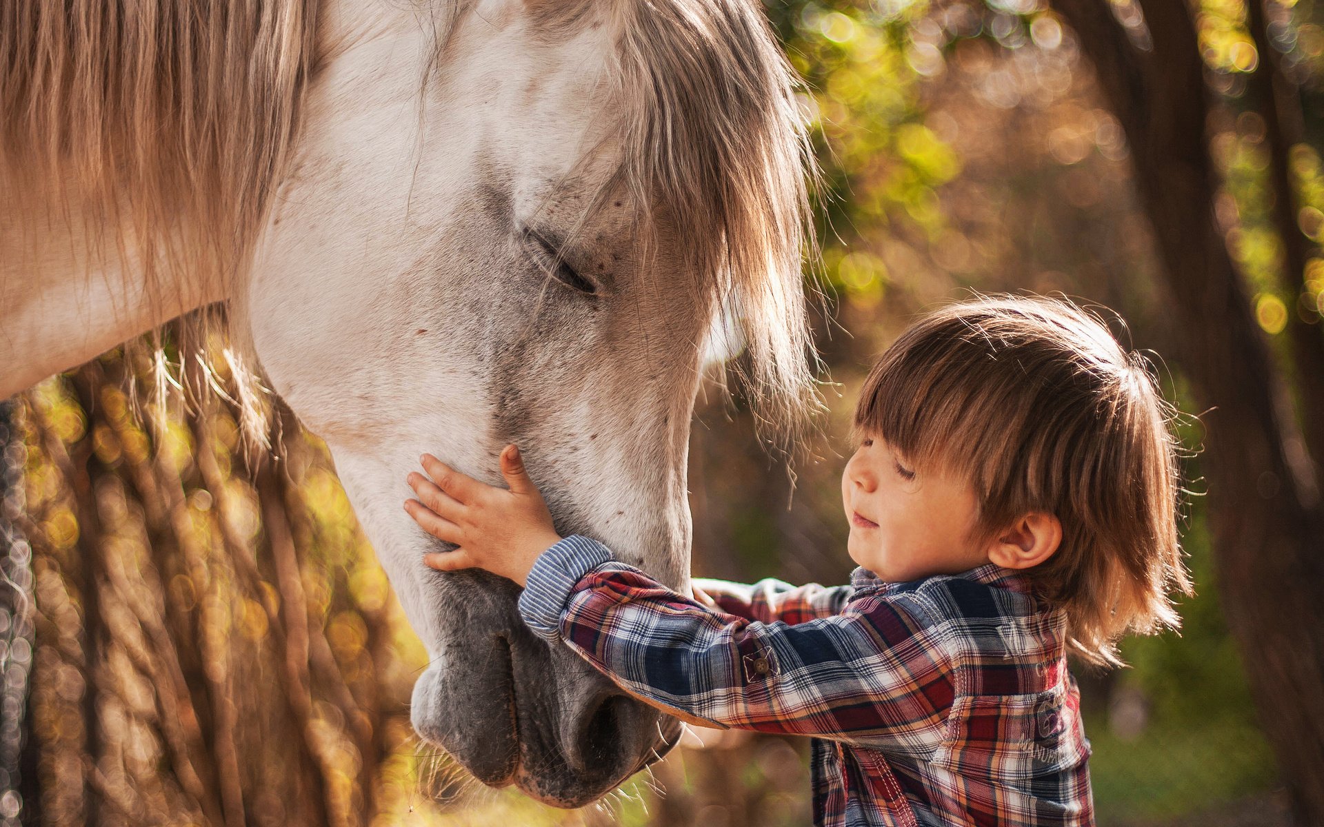 Обои лошадь, природа, ребенок, мальчик, животное, конь, agnieszka gulczynska, horse, nature, child, boy, animal разрешение 4761x3330 Загрузить