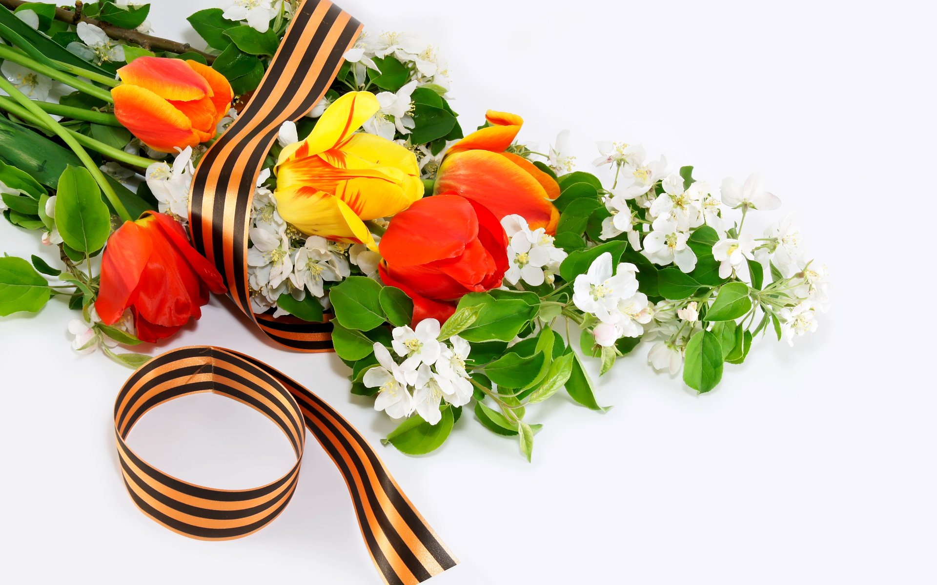 Обои цветы, день победы, 9 мая, георгиевская ленточка, flowers, victory day, may 9, george ribbon разрешение 4500x3000 Загрузить