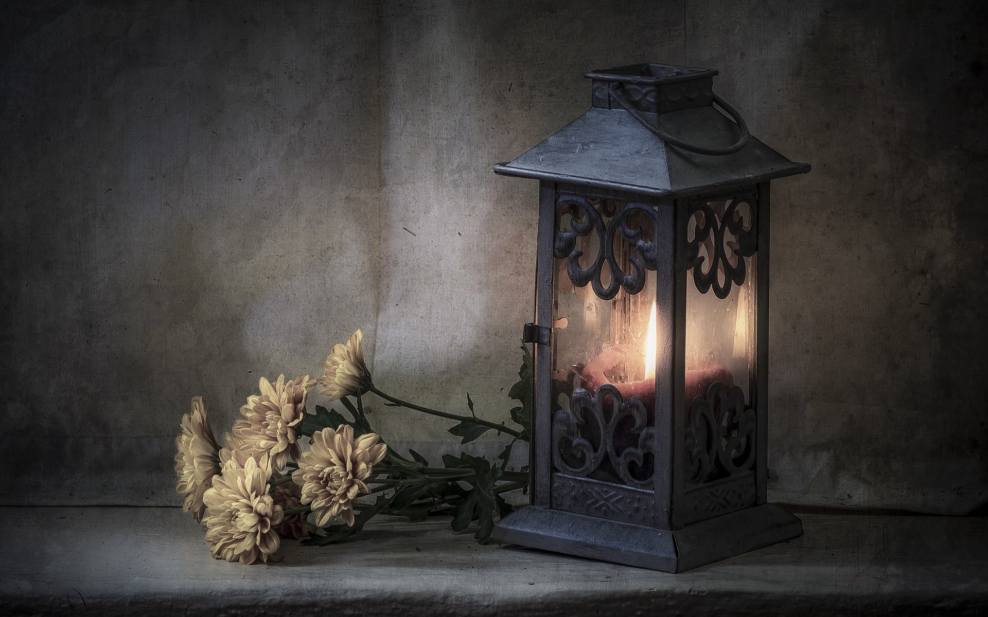 Обои цветы, стиль, фонарь, свеча, хризантемы, flowers, style, lantern, candle, chrysanthemum разрешение 3600x2384 Загрузить